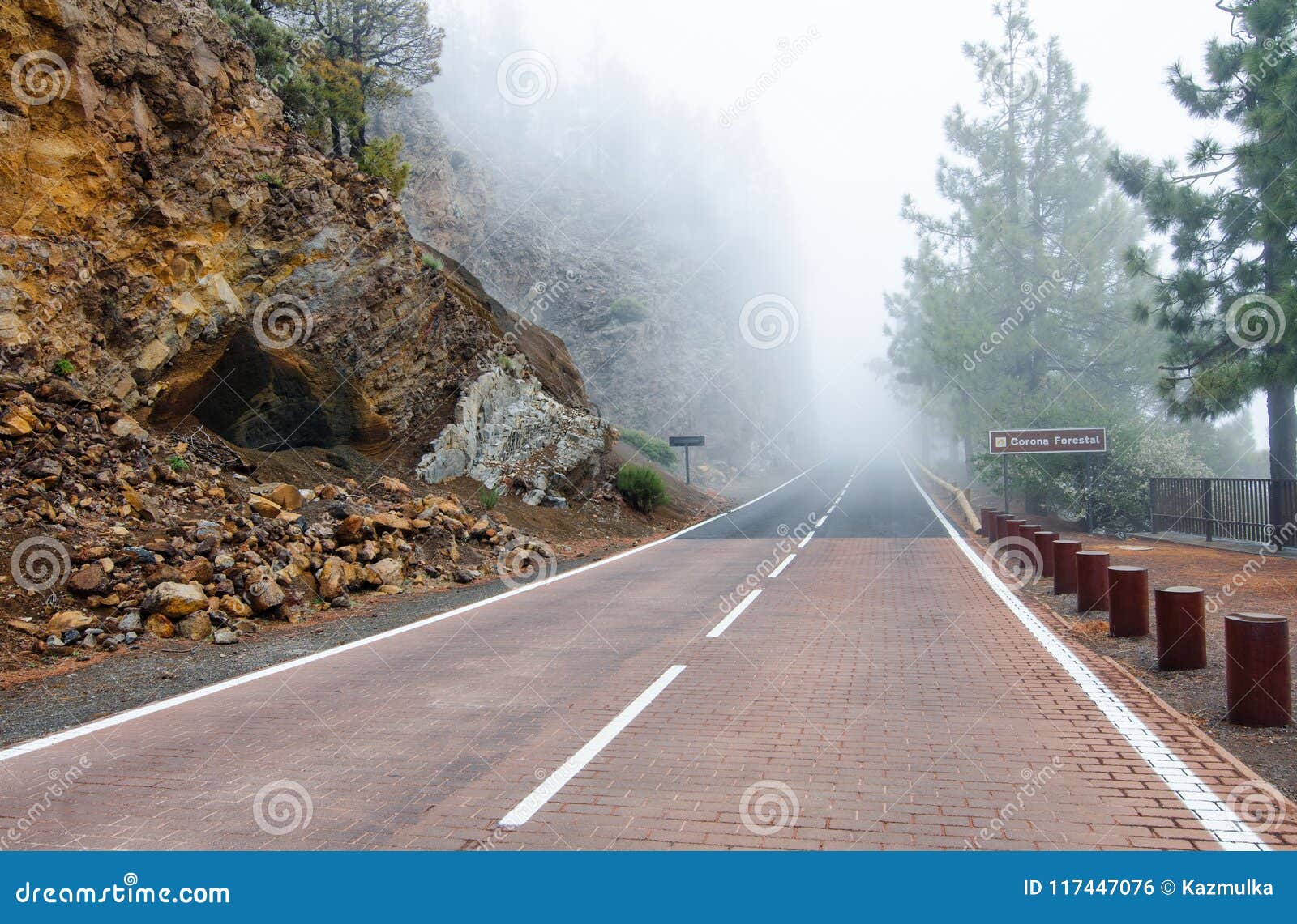 foggy mountain road in the natural park of the corona forestal. tenerife, canary islands, spain.