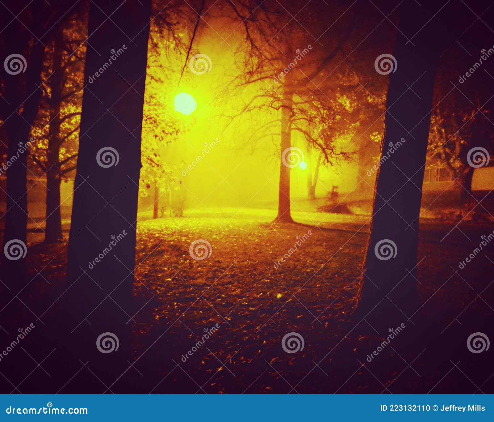 Foggy night at the lake stock photo. Image of branson 223132110