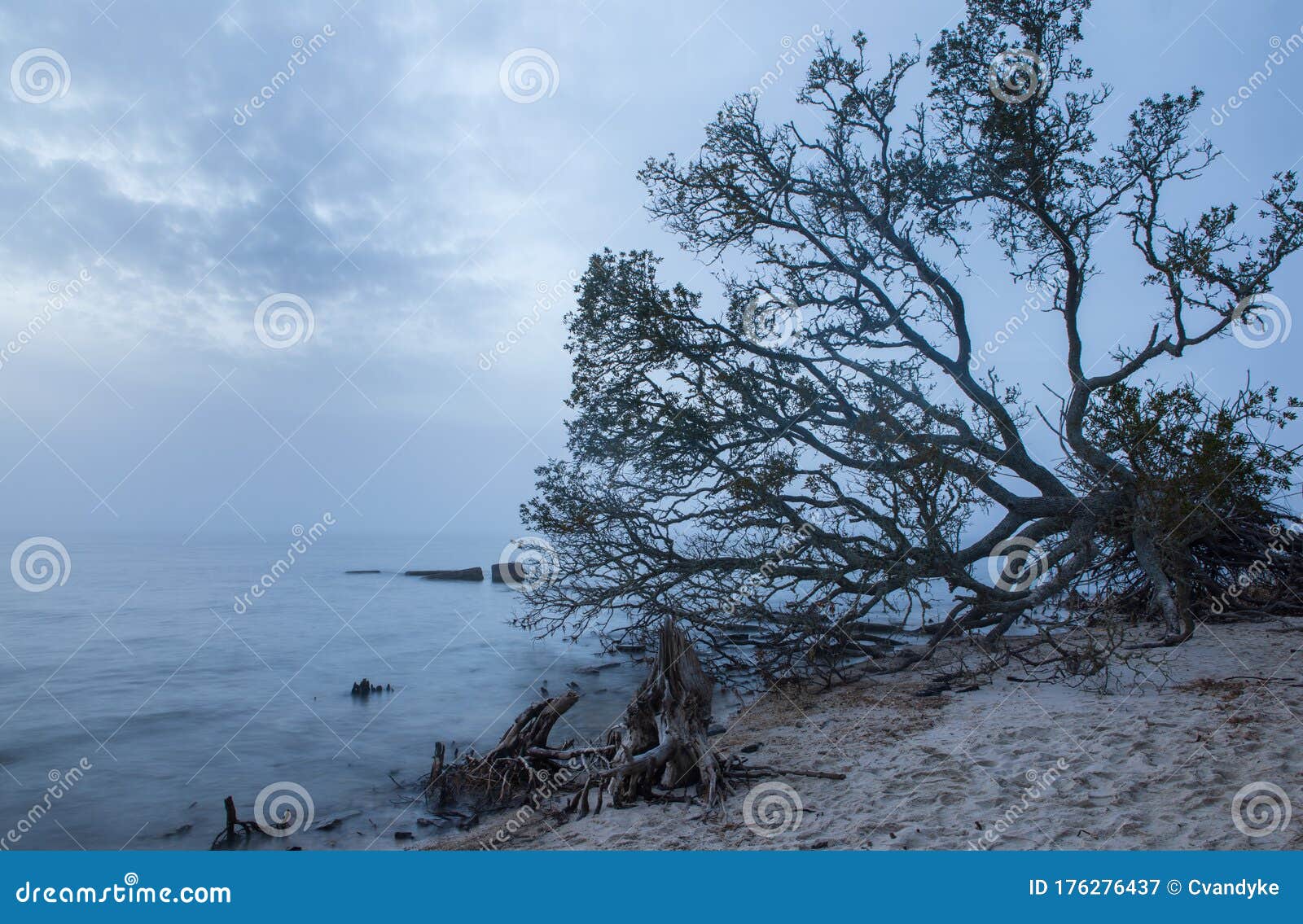 foggy night north end park manteo north carolina