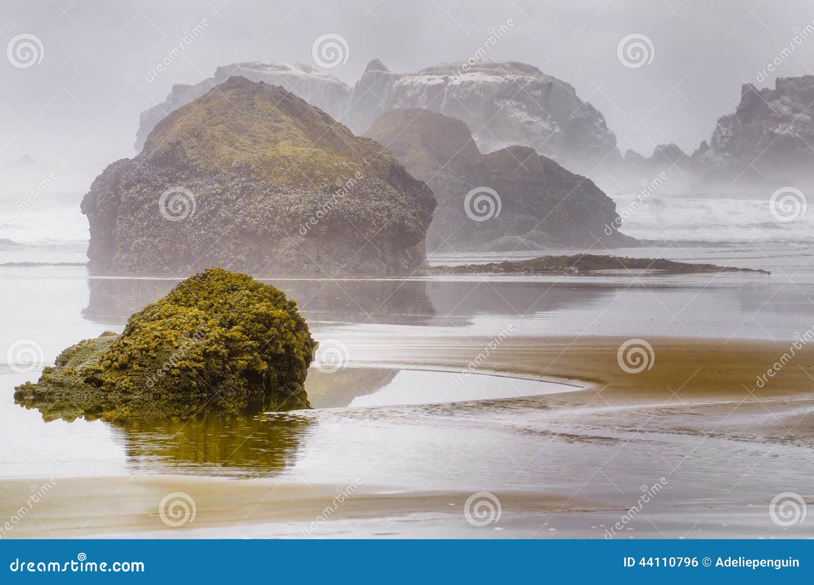 An escape to the foggy Oregon Coast, with mysterious sea stacks rising from the water crusted with living organisms, and the sand on the beach forming patterns in the mist.