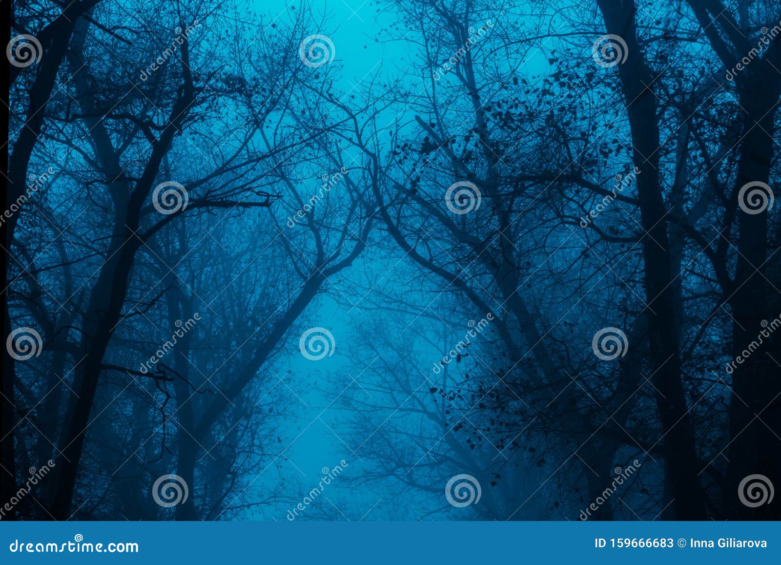 Foggy Silhouettes of Trunks and Branches Stock Image - Image of fall