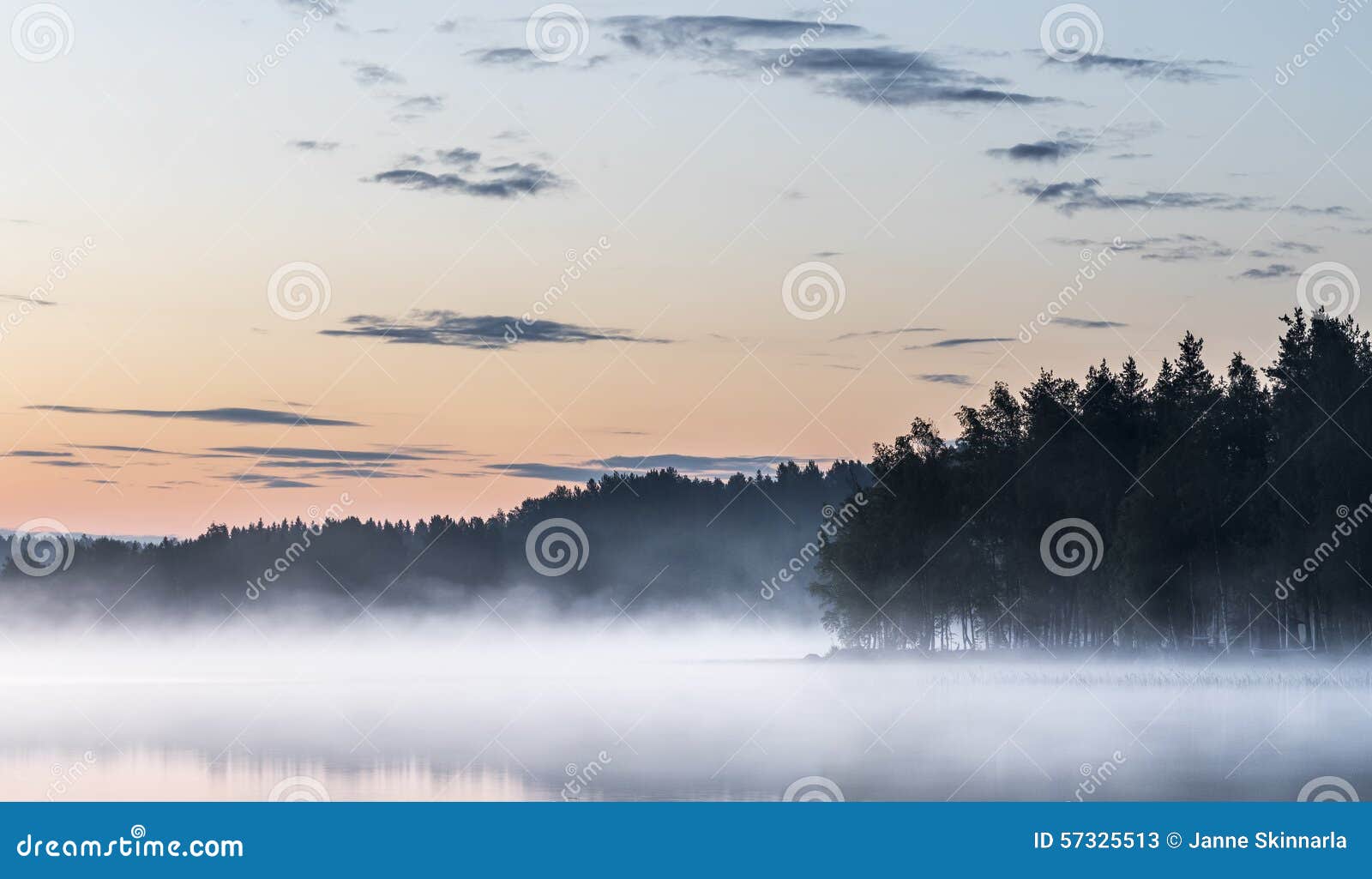 foggy summernight