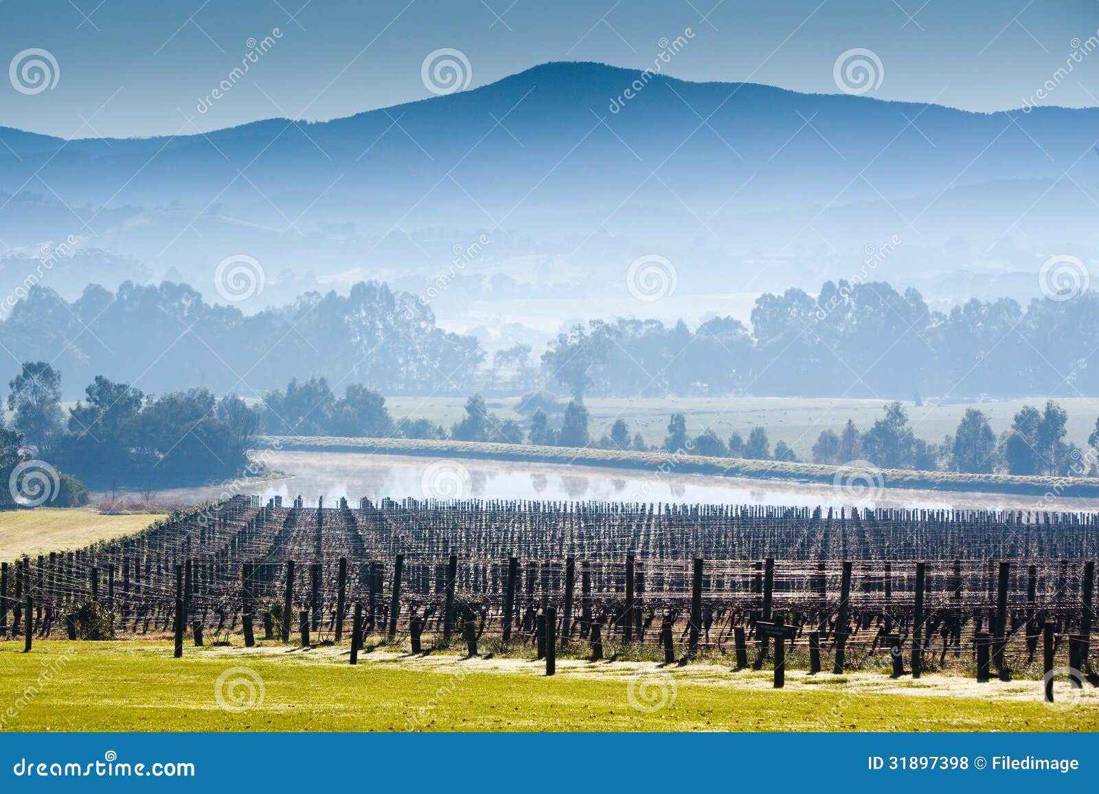 209 Chandon Winery Stock Photos - Free & Royalty-Free Stock Photos from  Dreamstime