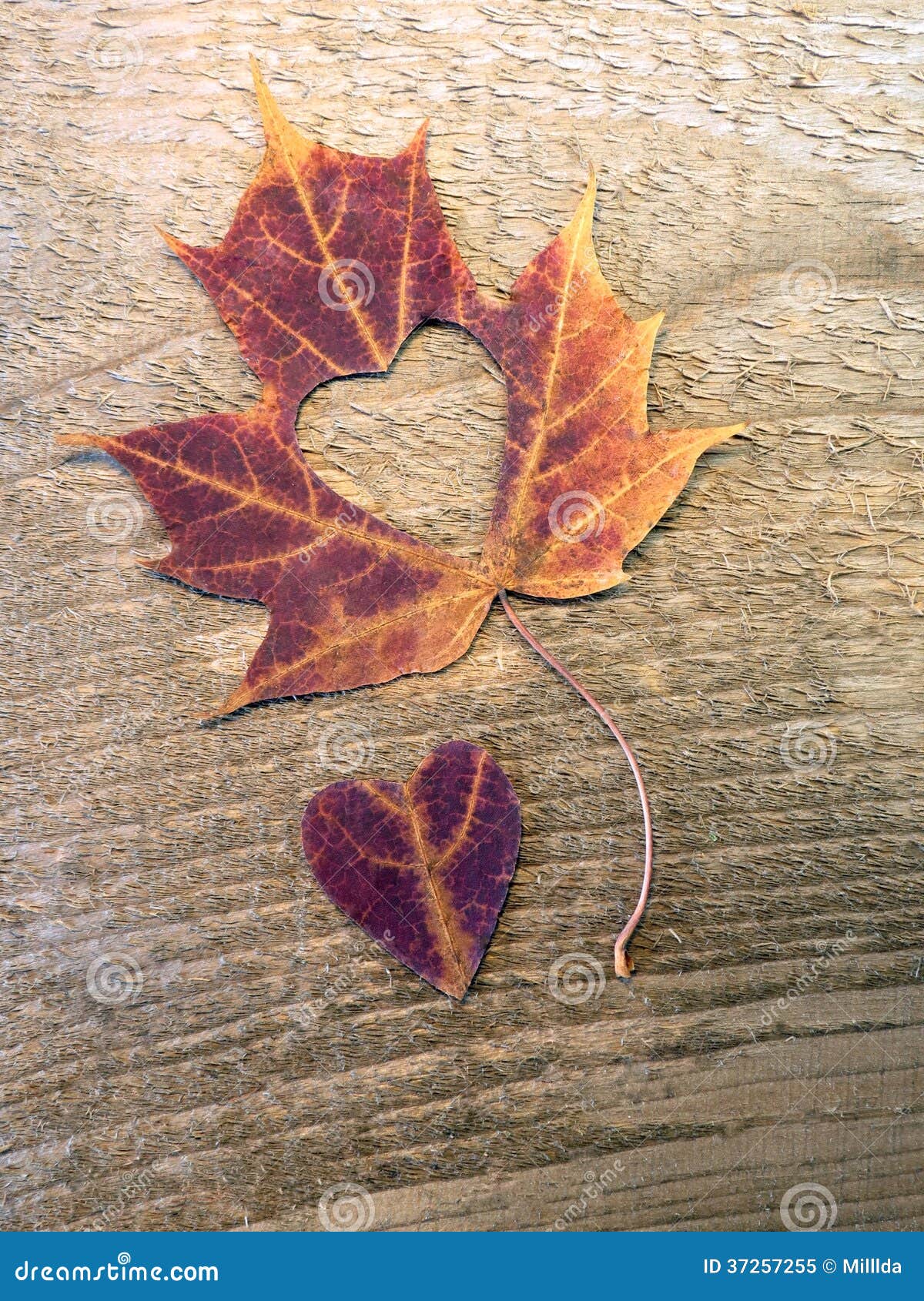 Zappa Da Giardino A Forma Di Cuore Con Manico In Legno 110cm - Attrezzo Per Piante, Erbacce E Lavorazione Terreno