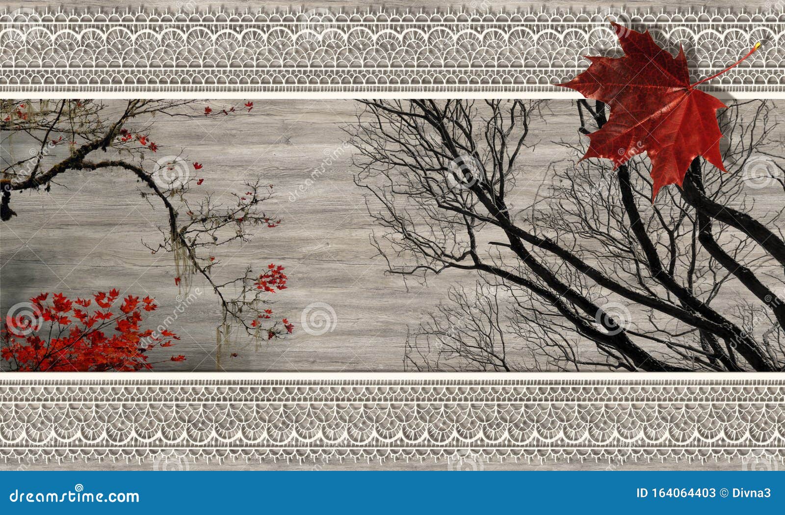 Foglia Di Acero, Natura in Legno Immagine Stock - Immagine di decorazione,  carte: 164064403
