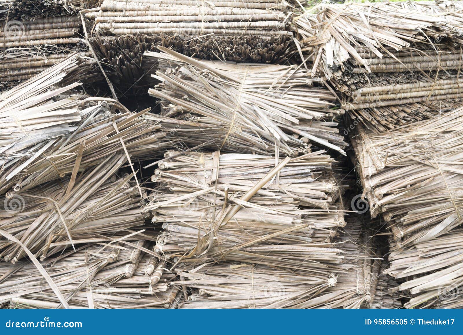 Foglie E Rami Secchi Come Usarli In Giardino E Non Buttarli