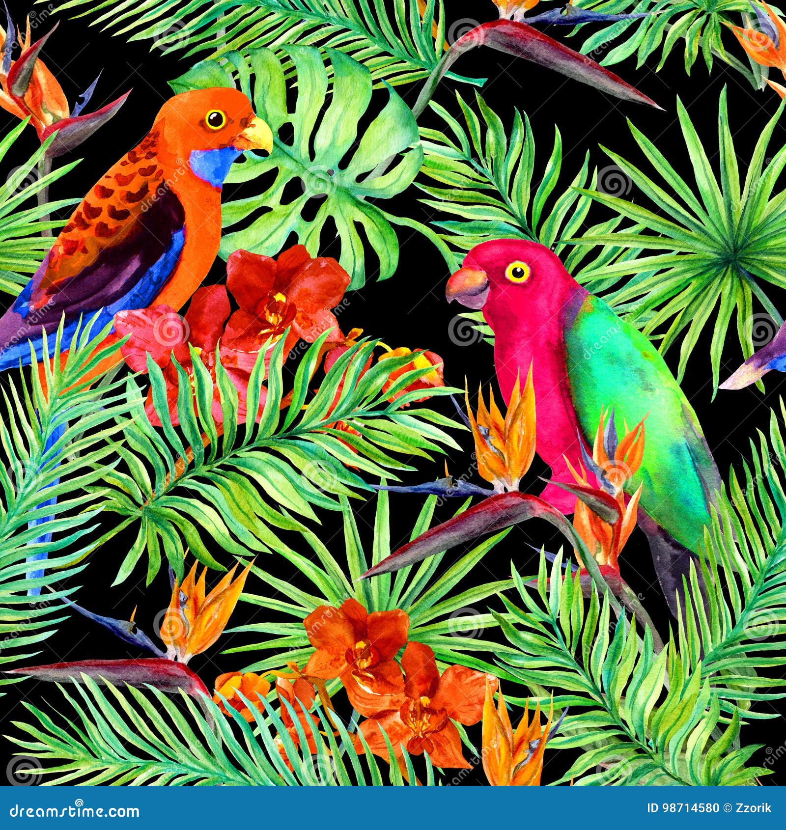 Foglie tropicali uccelli del pappagallo fiori esotici Modello senza cuciture della giungla su fondo nero watercolor Libera da Diritti