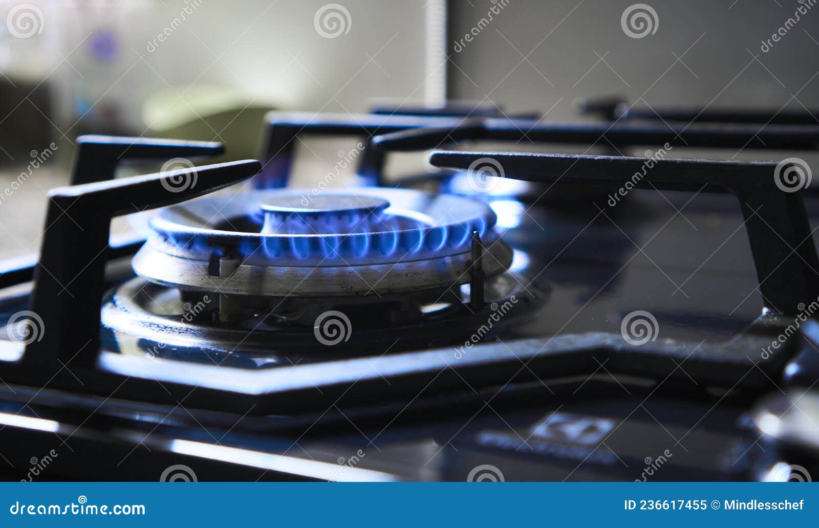 Fogones De Cocina En Un Quemador Alimentado Por Gas Natural Combustible O  Por Singas Propano Butano. Llama Azul De La Muchedumbre Imagen de archivo -  Imagen de iluminado, avellanador: 236617455