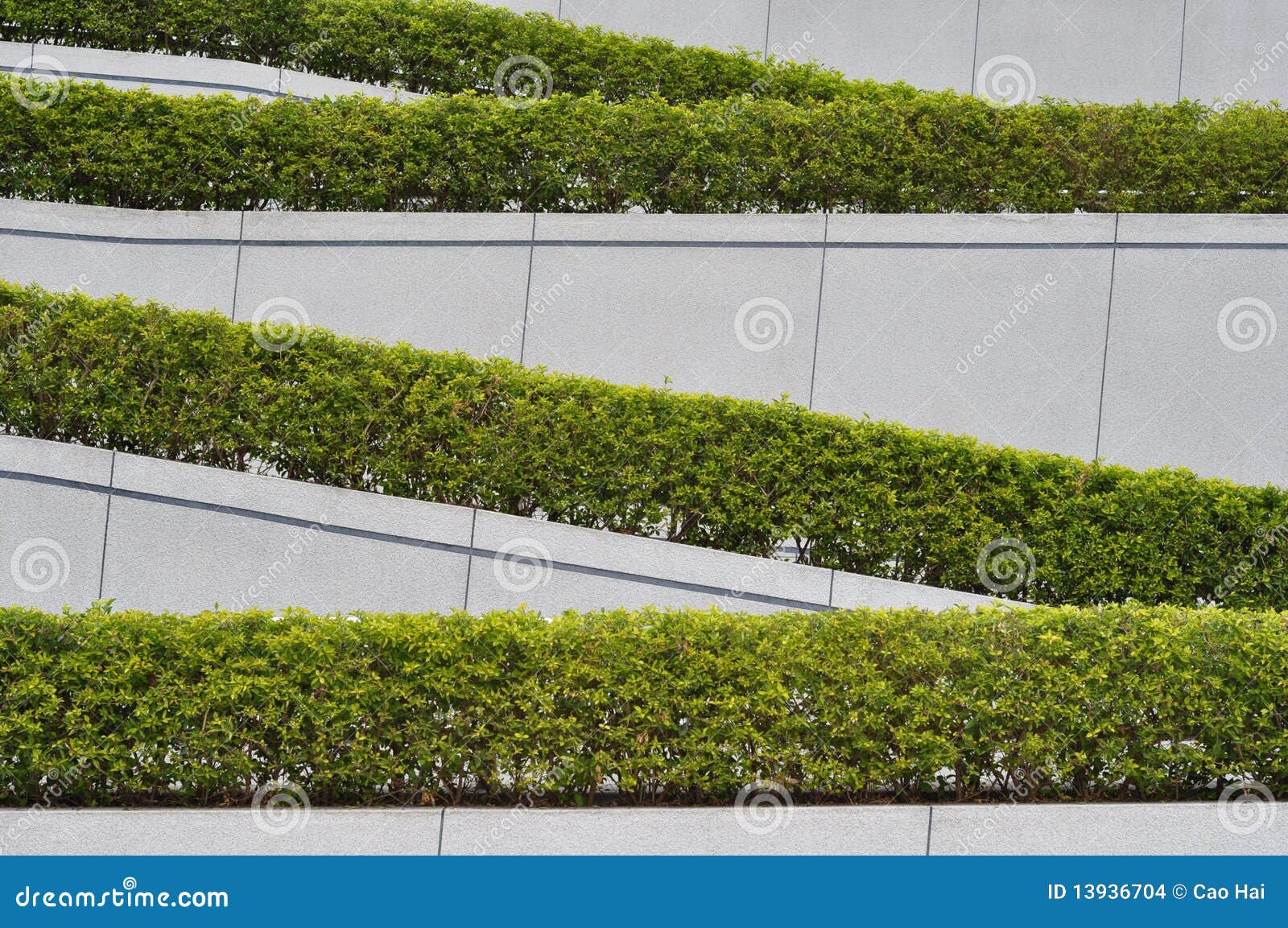 Fold Sunk Fence and Green Plant Stock Photo Image of composition