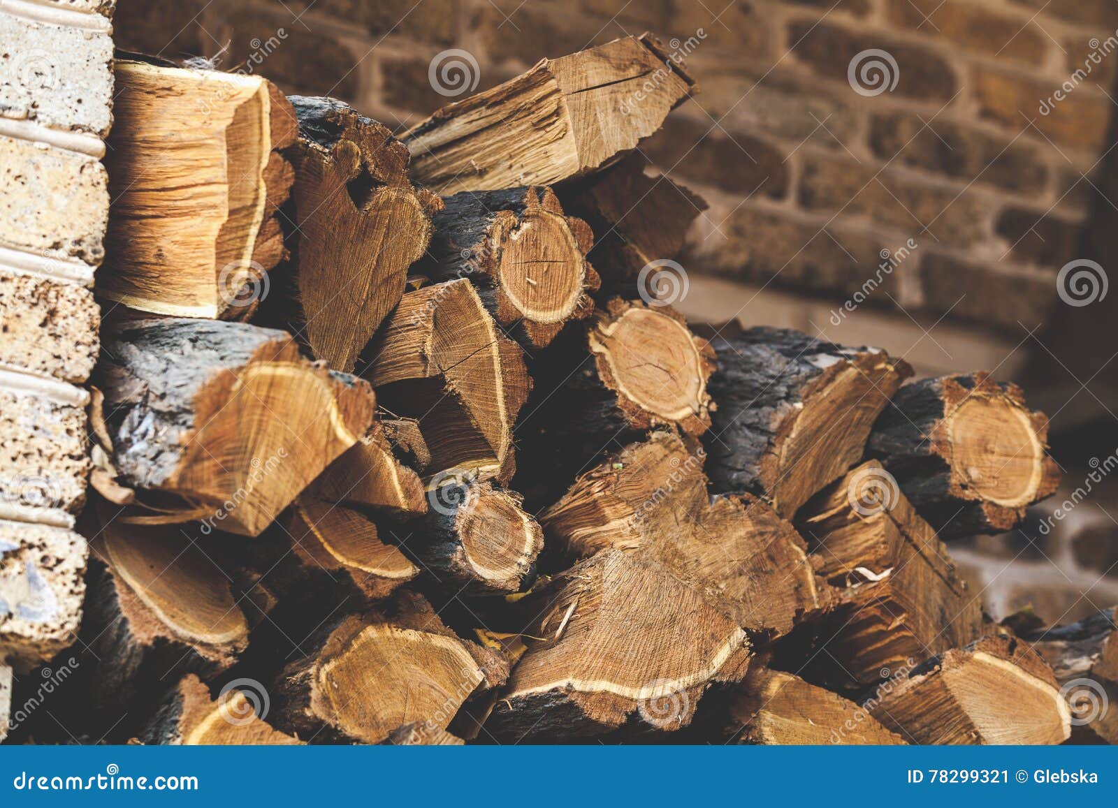 Folded in Chopped Firewood Acacia Stock Image Image of life, rings