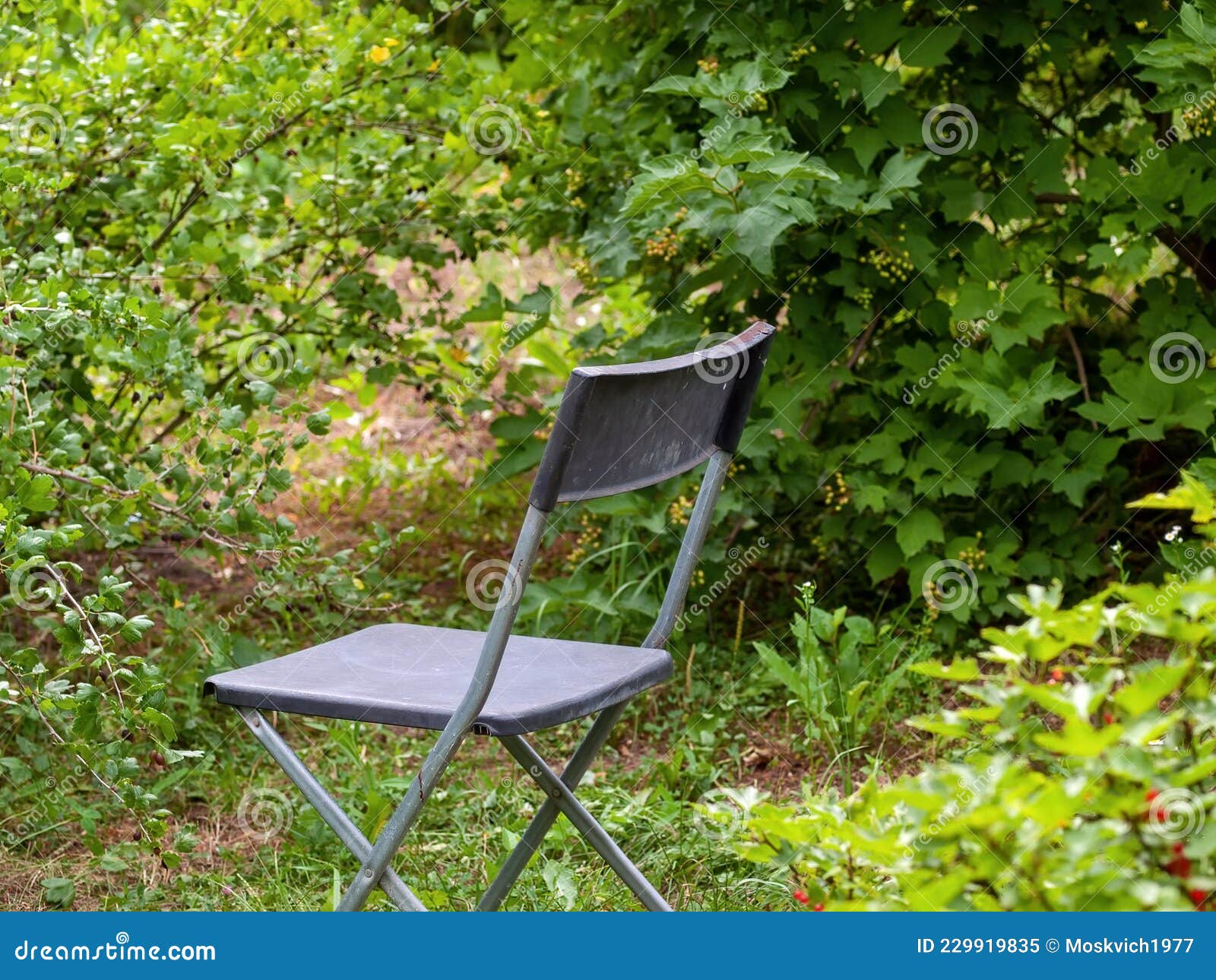 Folding Chair in the Garden Stock Image Image of nature, green 229919835