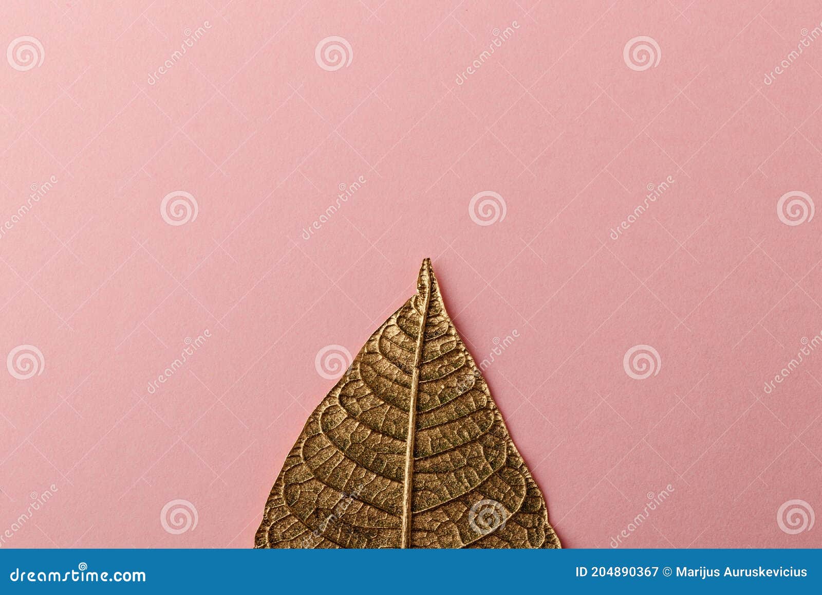 Folha De Flor De Natal Dourada. Poinsettia Imagem de Stock - Imagem de  decorativo, mola: 204890367