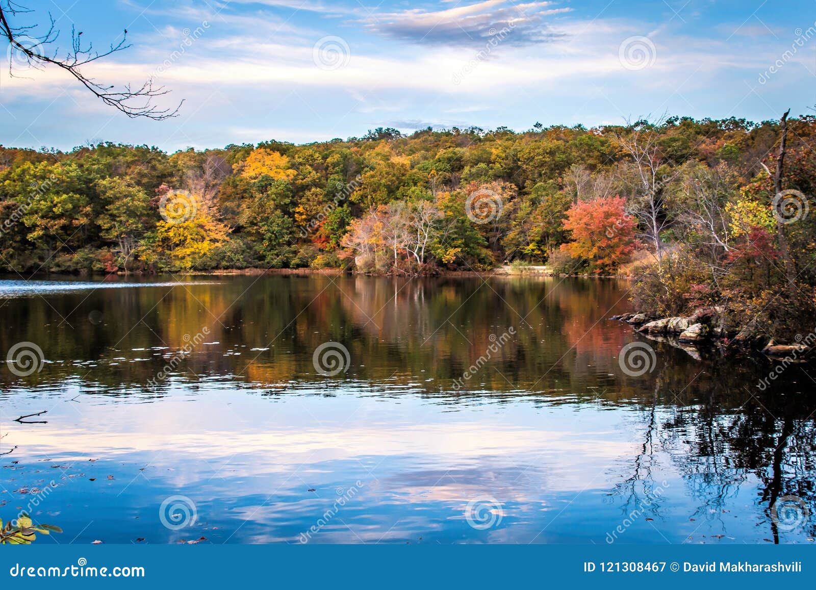 fejl horisont Blodig 17,876 Jersey Nature Photos - Free & Royalty-Free Stock Photos from  Dreamstime
