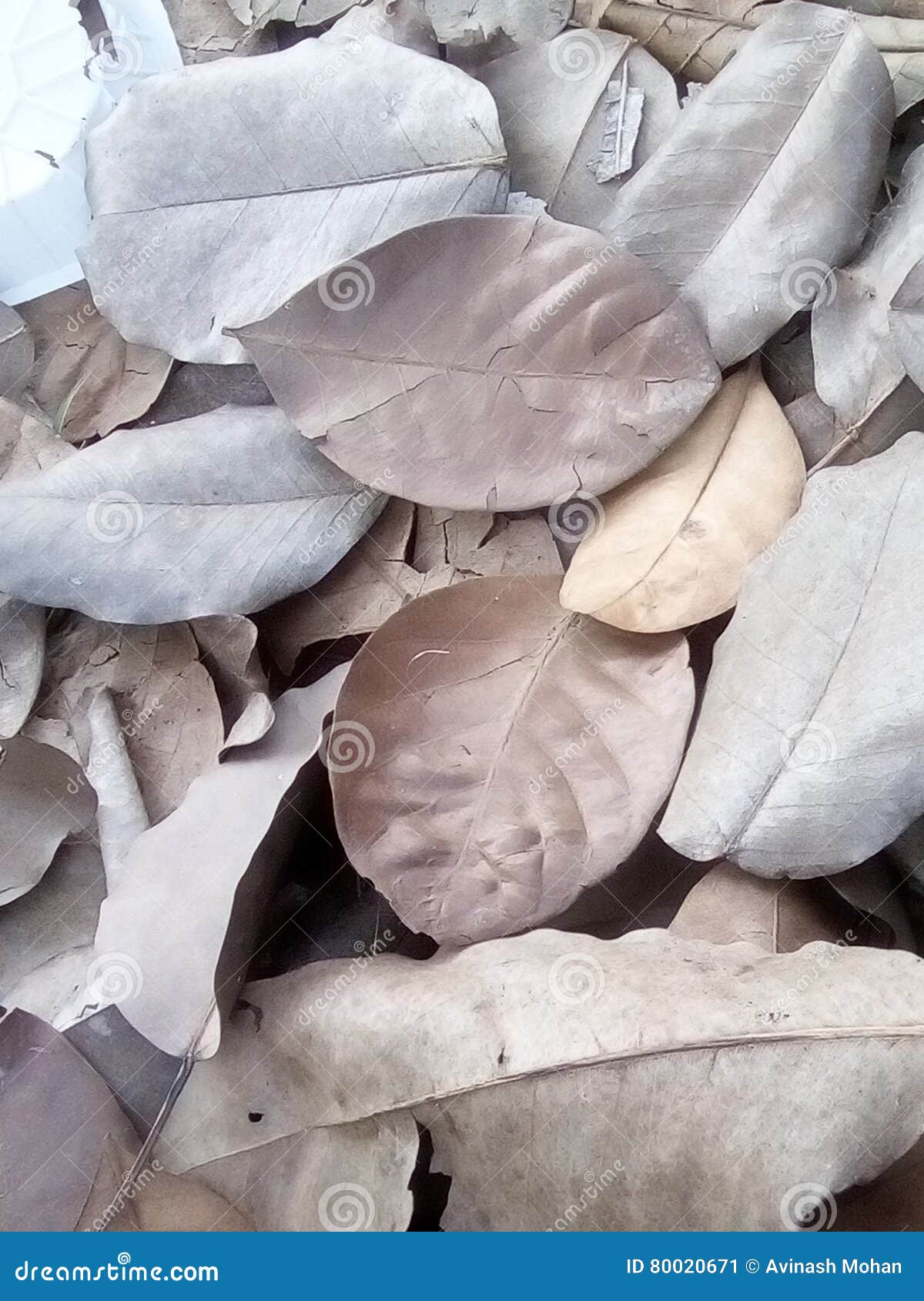 Dry dryer driest stock image. Image of driest, arrives 80020671