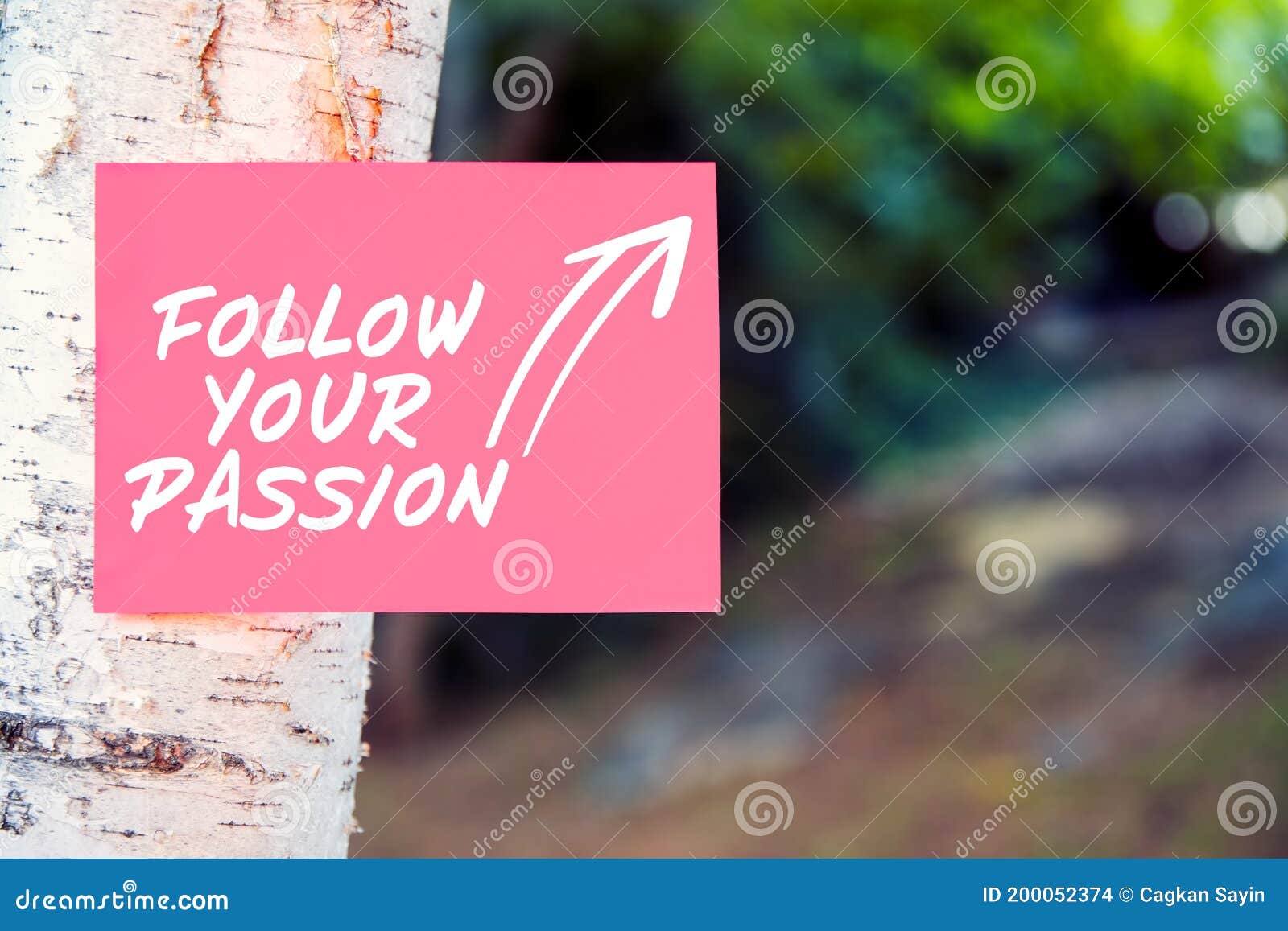 Follow Your Passion Inspirational Quote Written on Paper on a in Stock Photo - Image of objective, lifestyle: