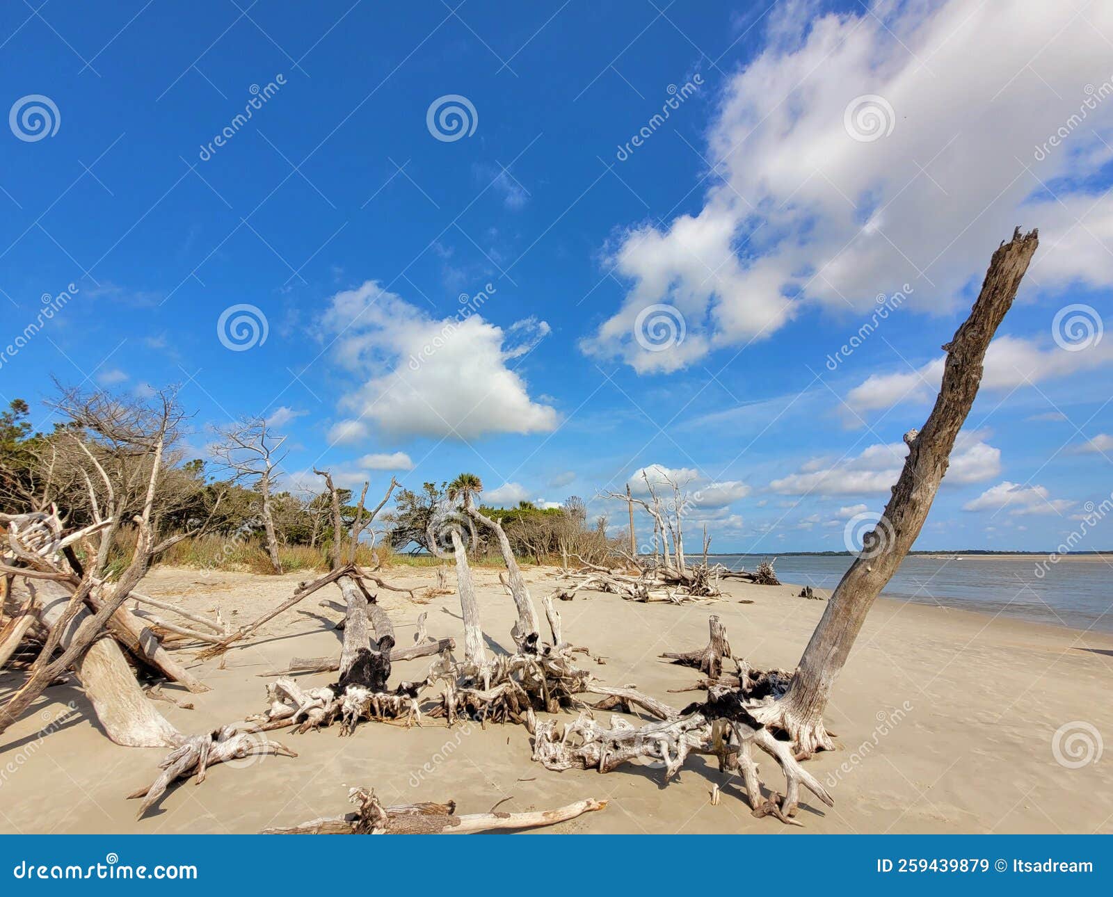 Folly beach South Carolina stock image. Image of coast 259439879