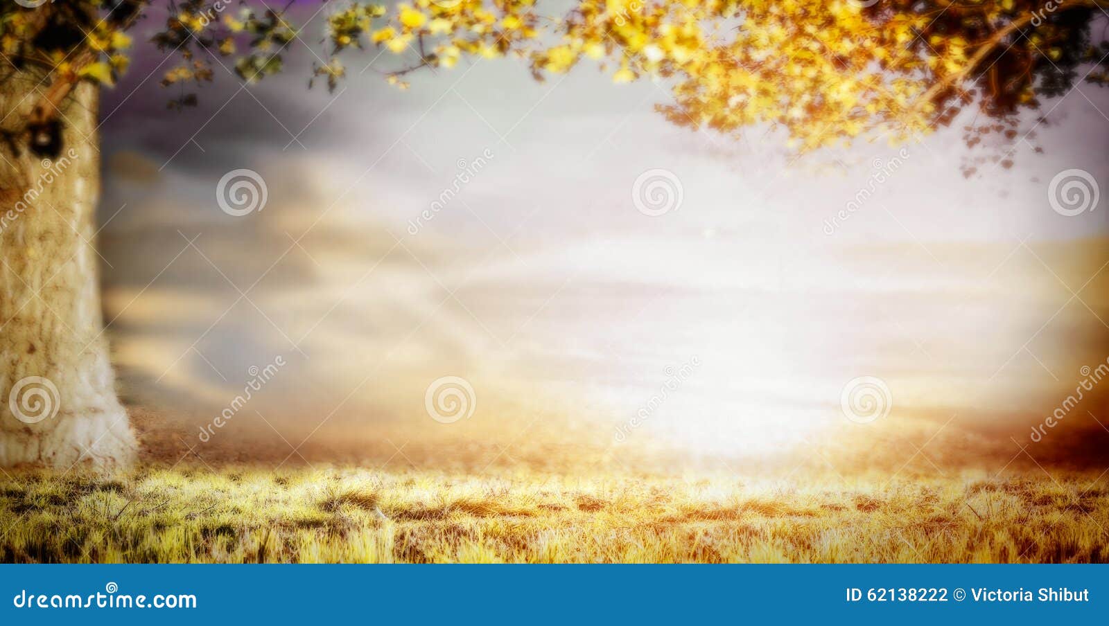 Fond Brouillé De Nature Avec Le Grand Arbre, L'herbe Et Le Beau Ciel ...