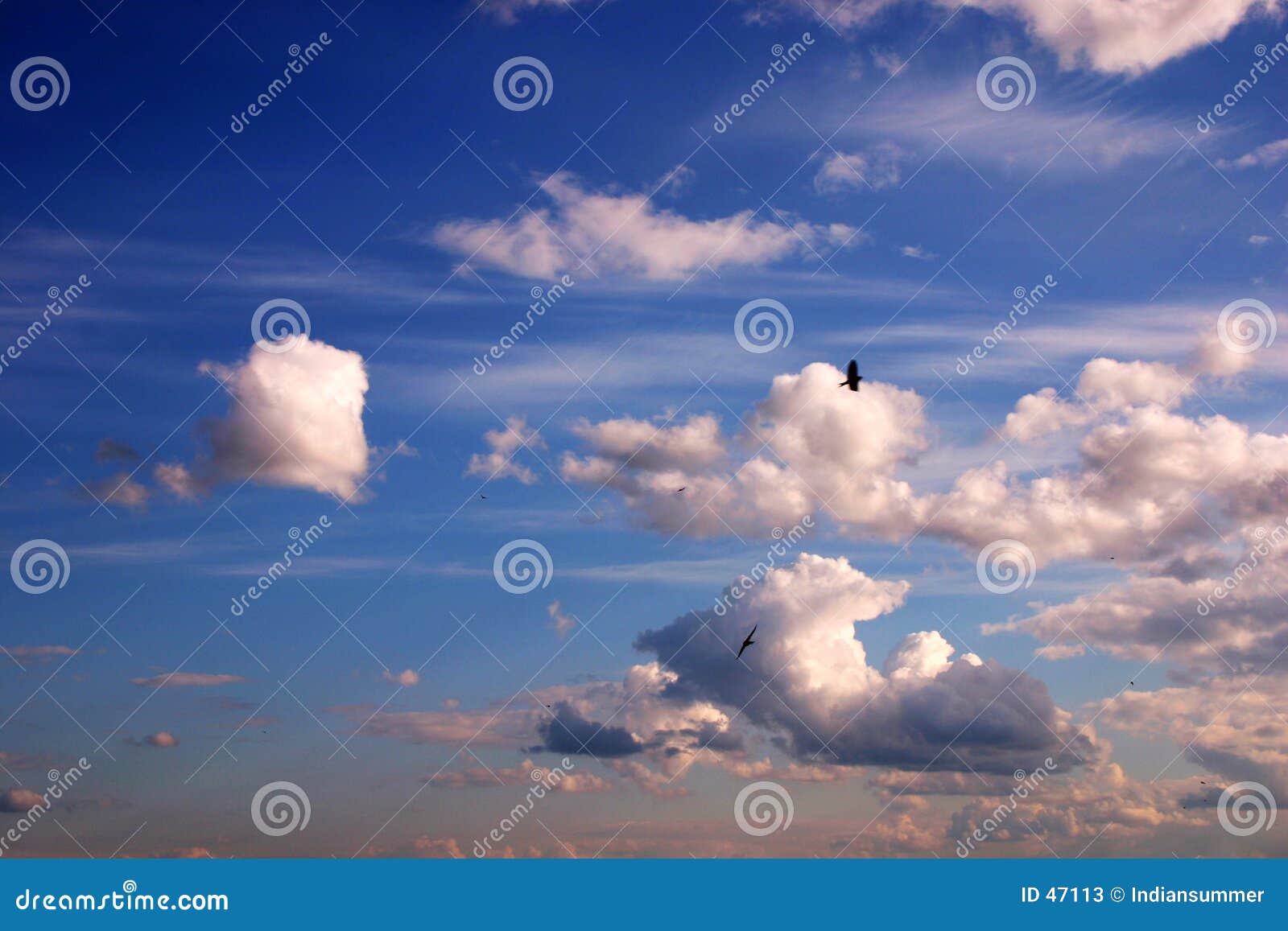 Fond de ciel avec des oiseaux