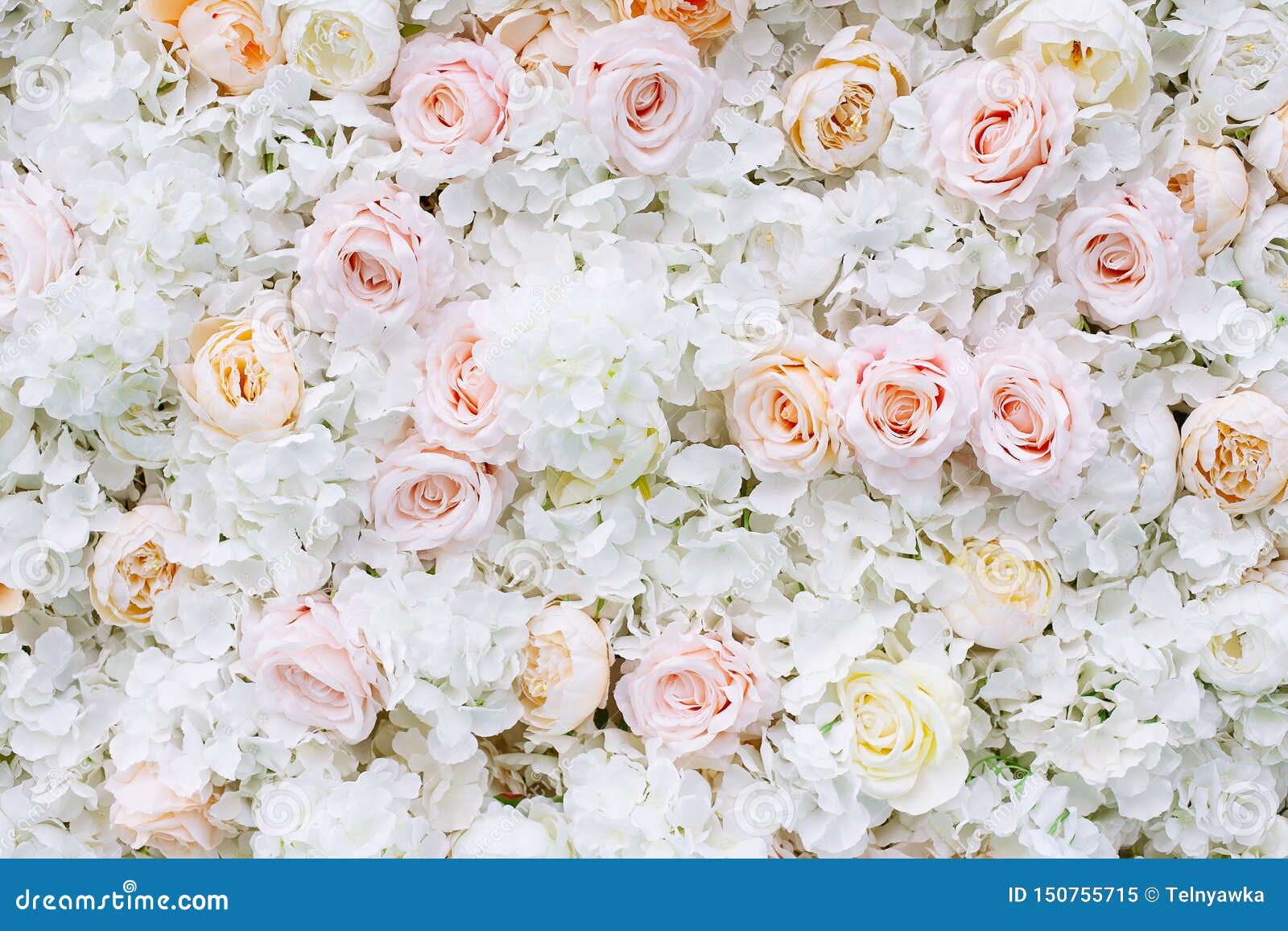 Fond De Mur De Fleurs Avec Les Roses Blanches Et Orange-clair Image stock -  Image du variation, couleur: 150755715