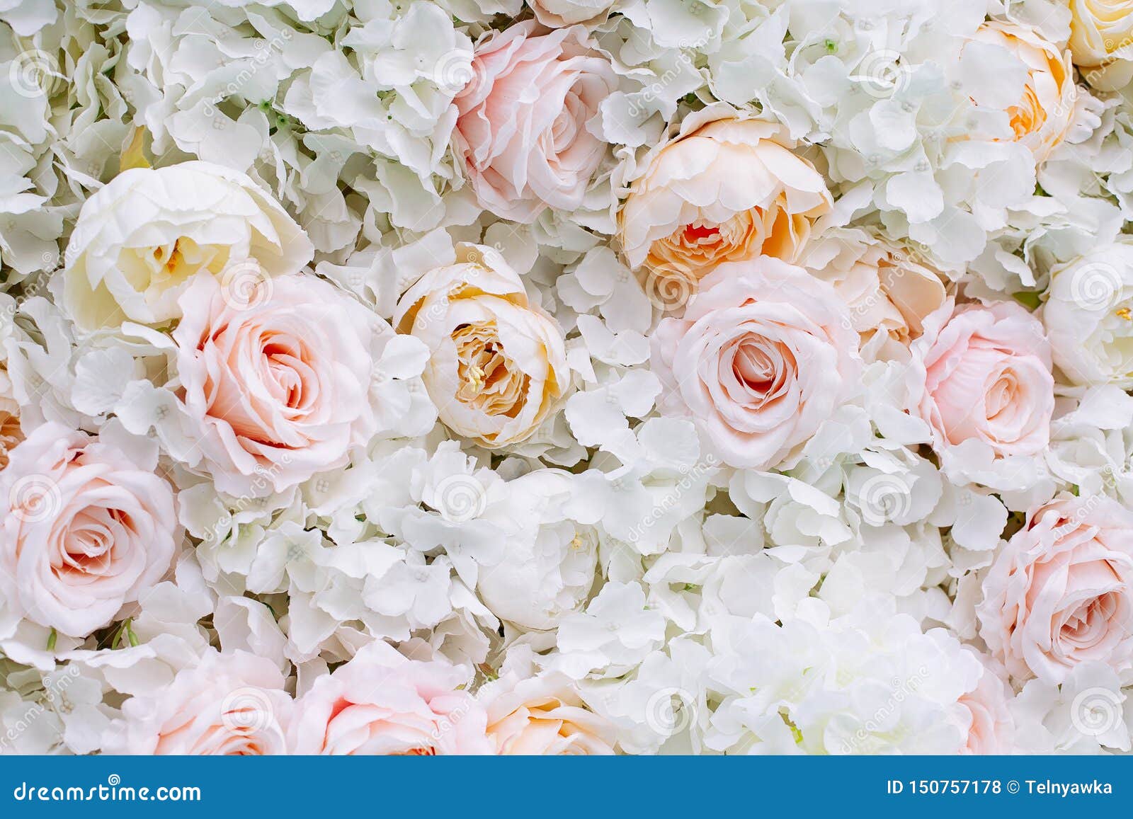 Fond De Mur De Fleurs Avec Les Roses Blanches Et Orange-clair Photo stock -  Image du fleur, orange: 150757178