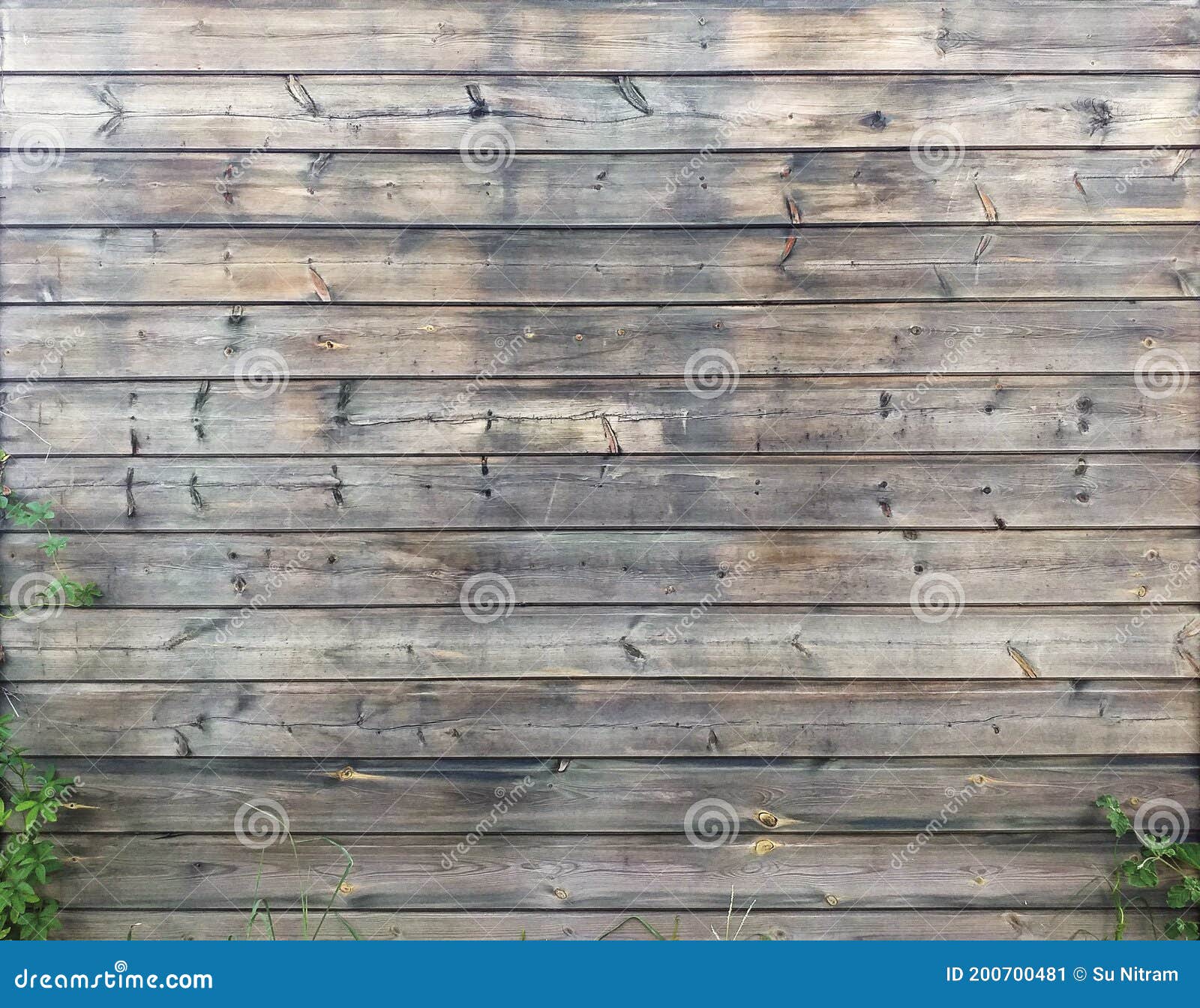 Fond De Mur De Vieilles Lamelles Horizontales En Bois à L'état Naturel Mur  Ou Clôture D'une Planche De Bois Petit Groupe Des Cara Image stock - Image  du extérieur, martinique: 200700481