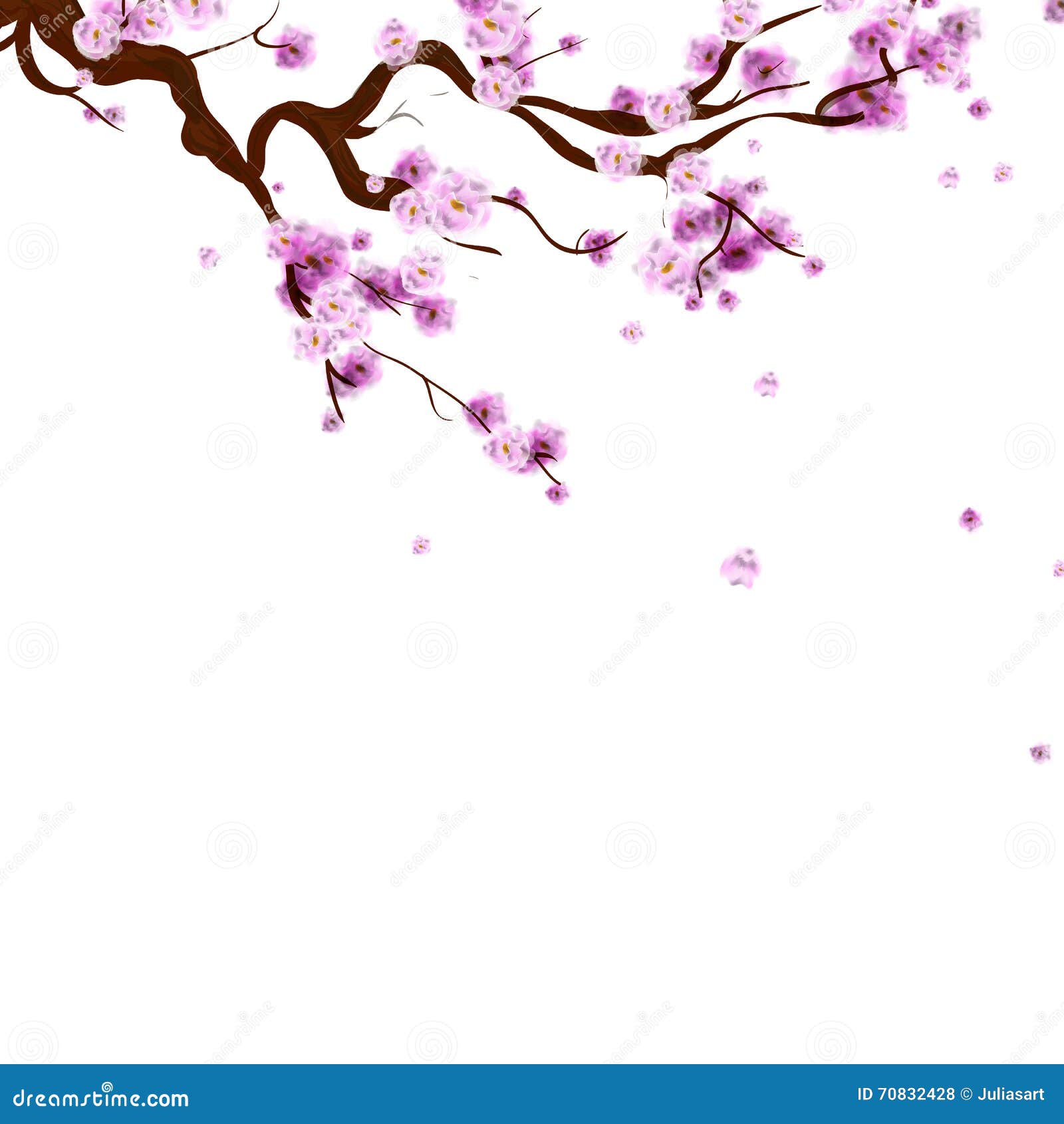 fond de sakura d aquarelle avec la branche de cerisier de fleur ha 70832428