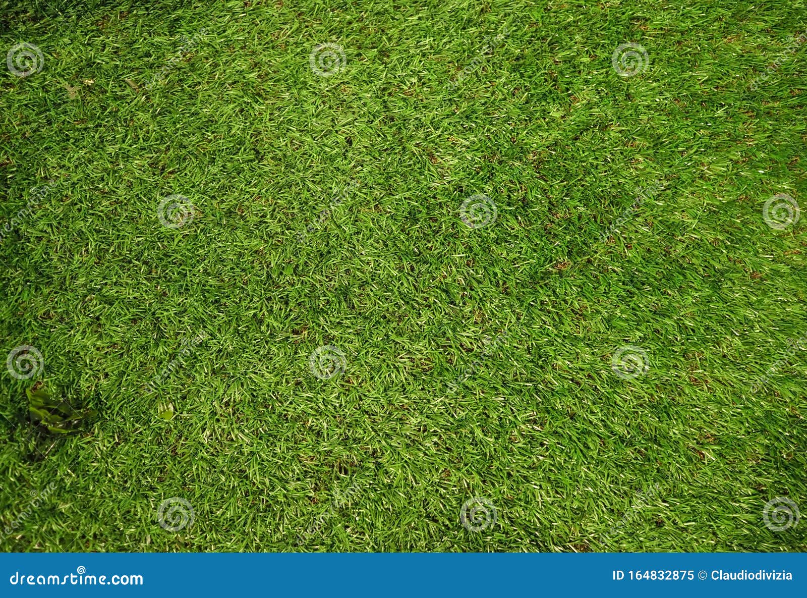 Fond De Texture Verte Fausse Herbe Image stock - Image du nature,  configuration: 164832875