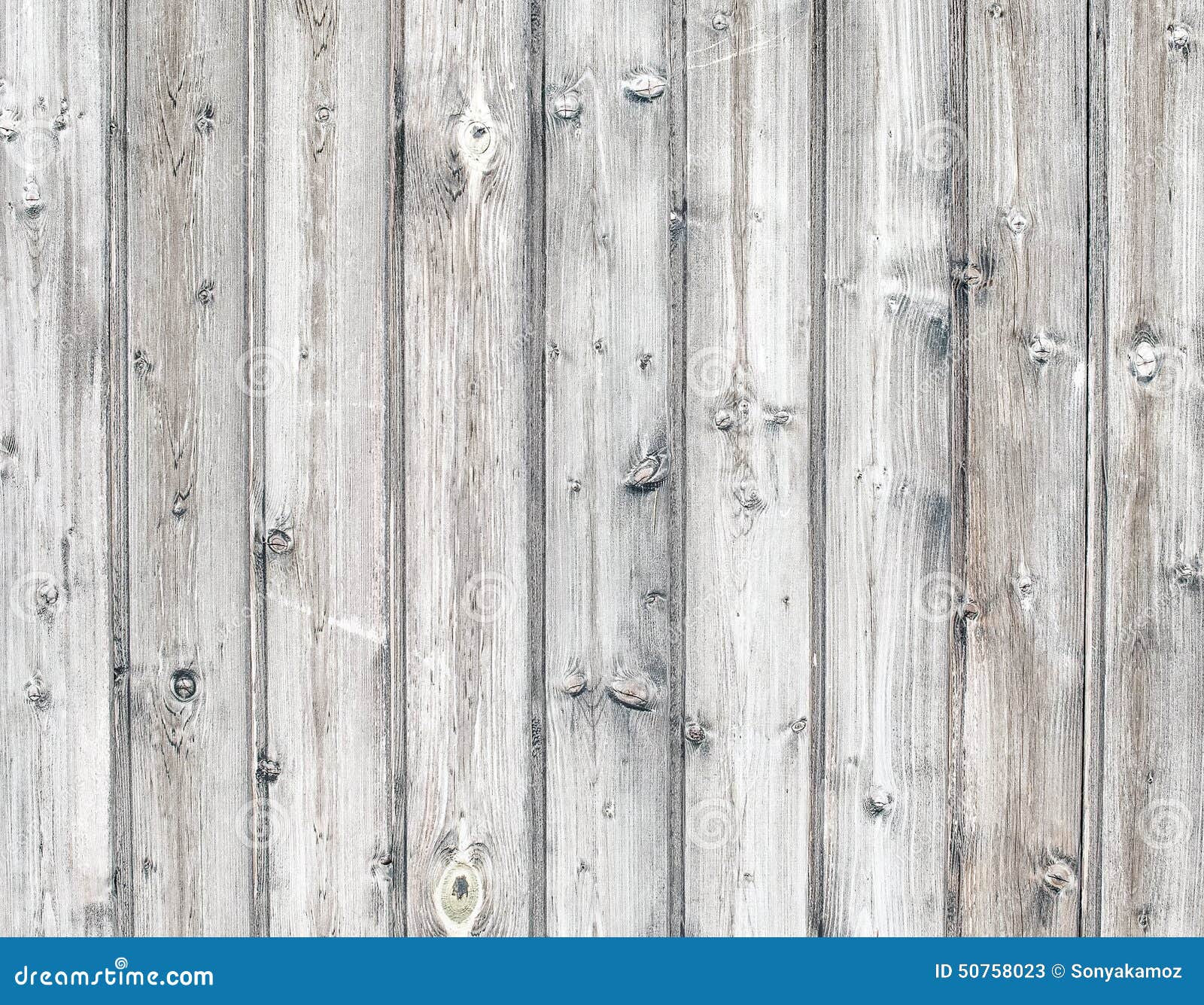 Fond En Bois Clair De Texture Couleur Grise Blanche Image stock - Image