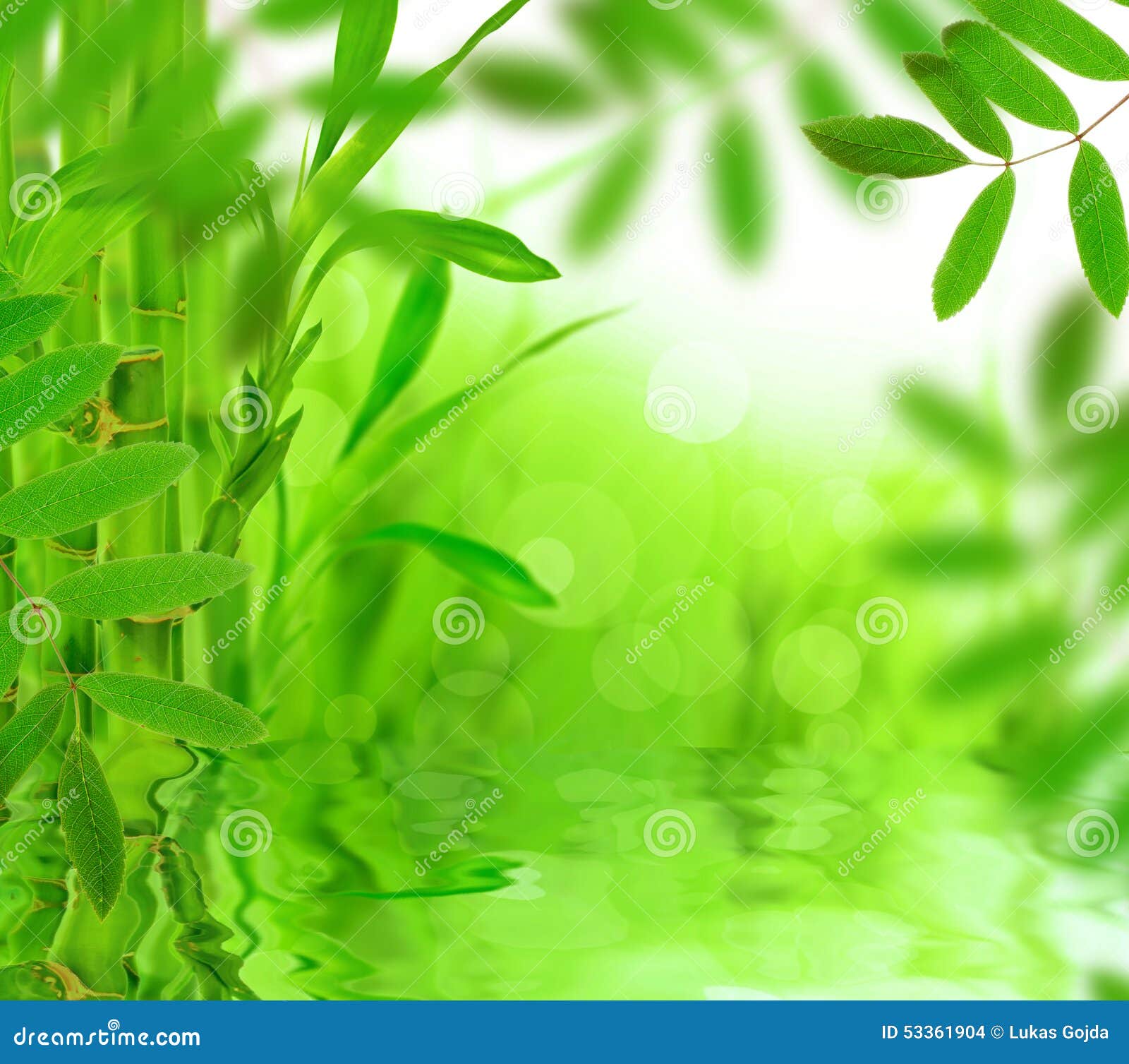 Fond vert de nature photo stock. Image du petit, abstrait - 53361904