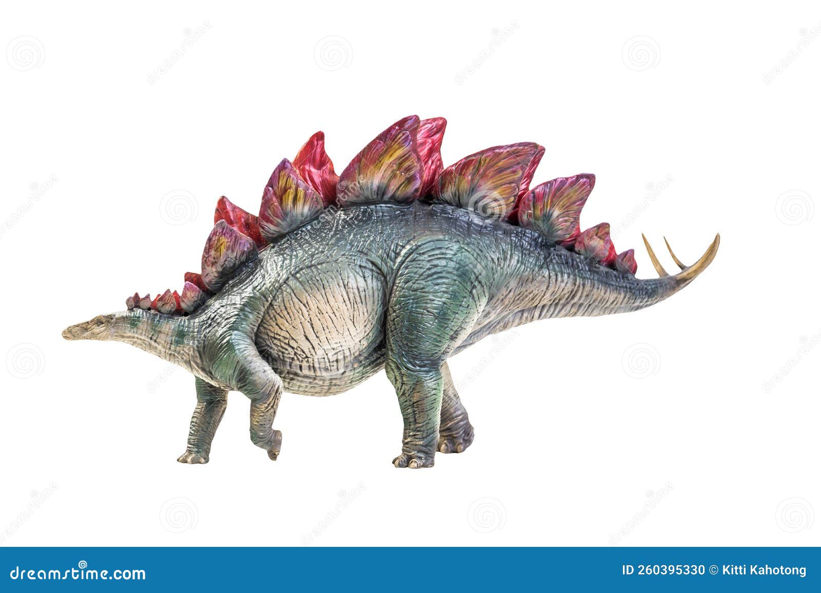 Fondo Aislado Del Estegosaurio De Dinosaurio Foto de archivo - Imagen de  peligro, dinosaurios: 260395330, image size:1600x1157