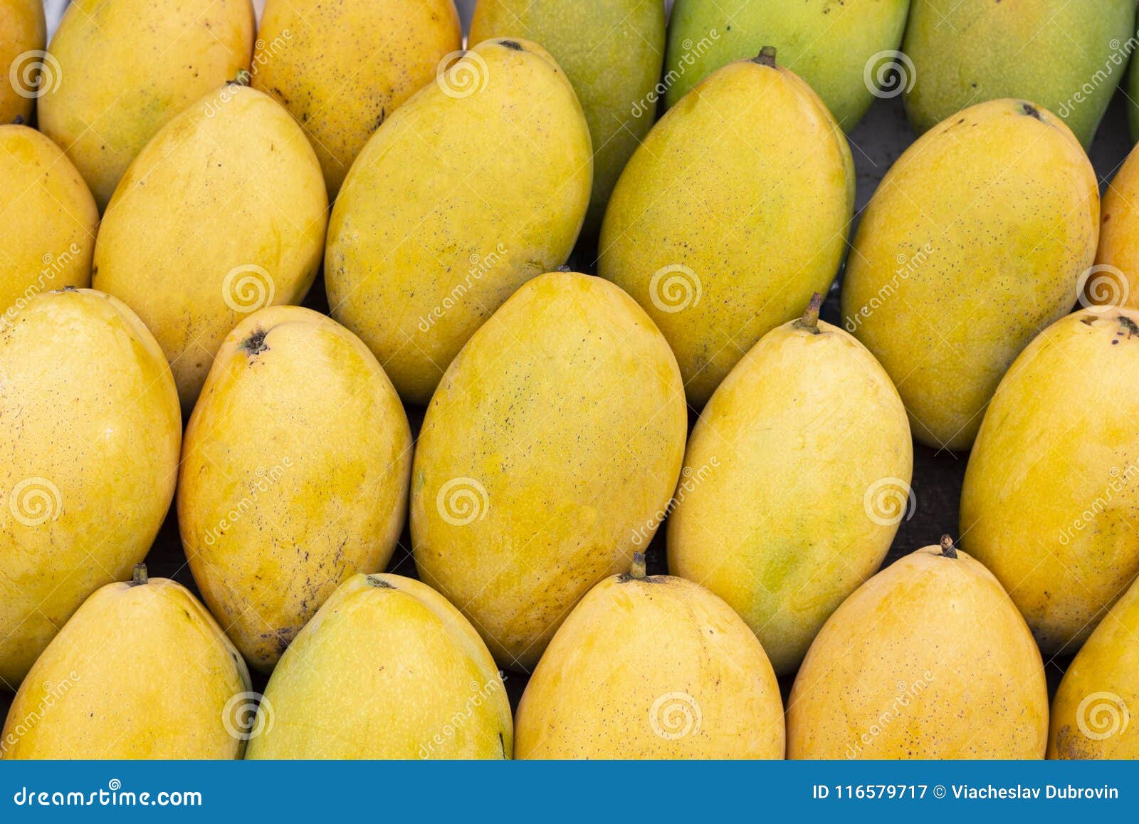 Fondo Amarillo La Foto Del Mango Manojo De Frutas Tropicales Pila Amarilla Oval Del Mango Imagen de archivo - Imagen de objeto, horizontal: 116579717