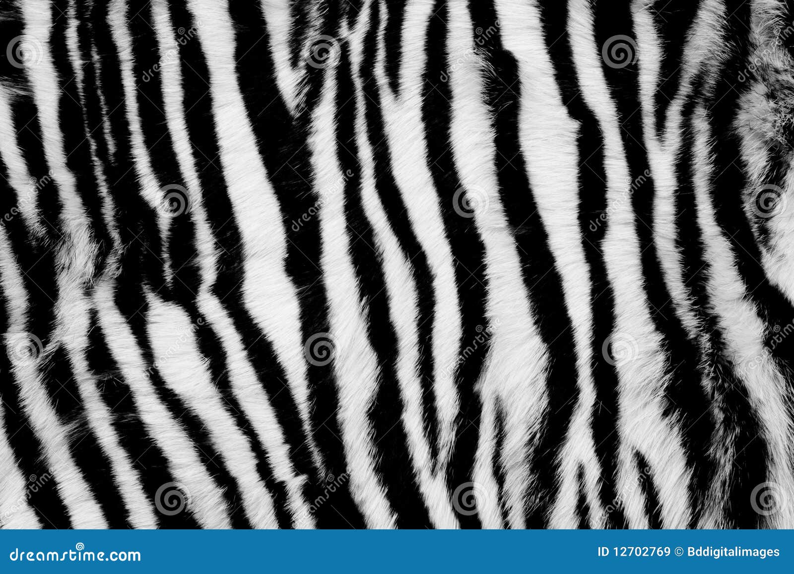 Fondo animal de la piel imagen de archivo. Imagen de fondo - 12702769