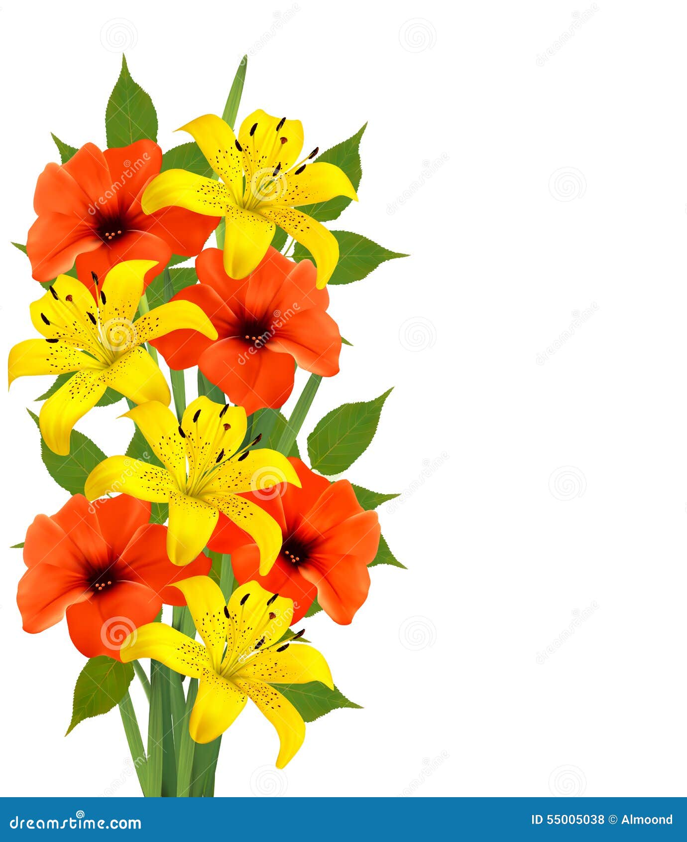 Fondo Con Las Flores Hermosas Coloridas Ilustración del Vector -  Ilustración de frontera, amanecer: 55005038