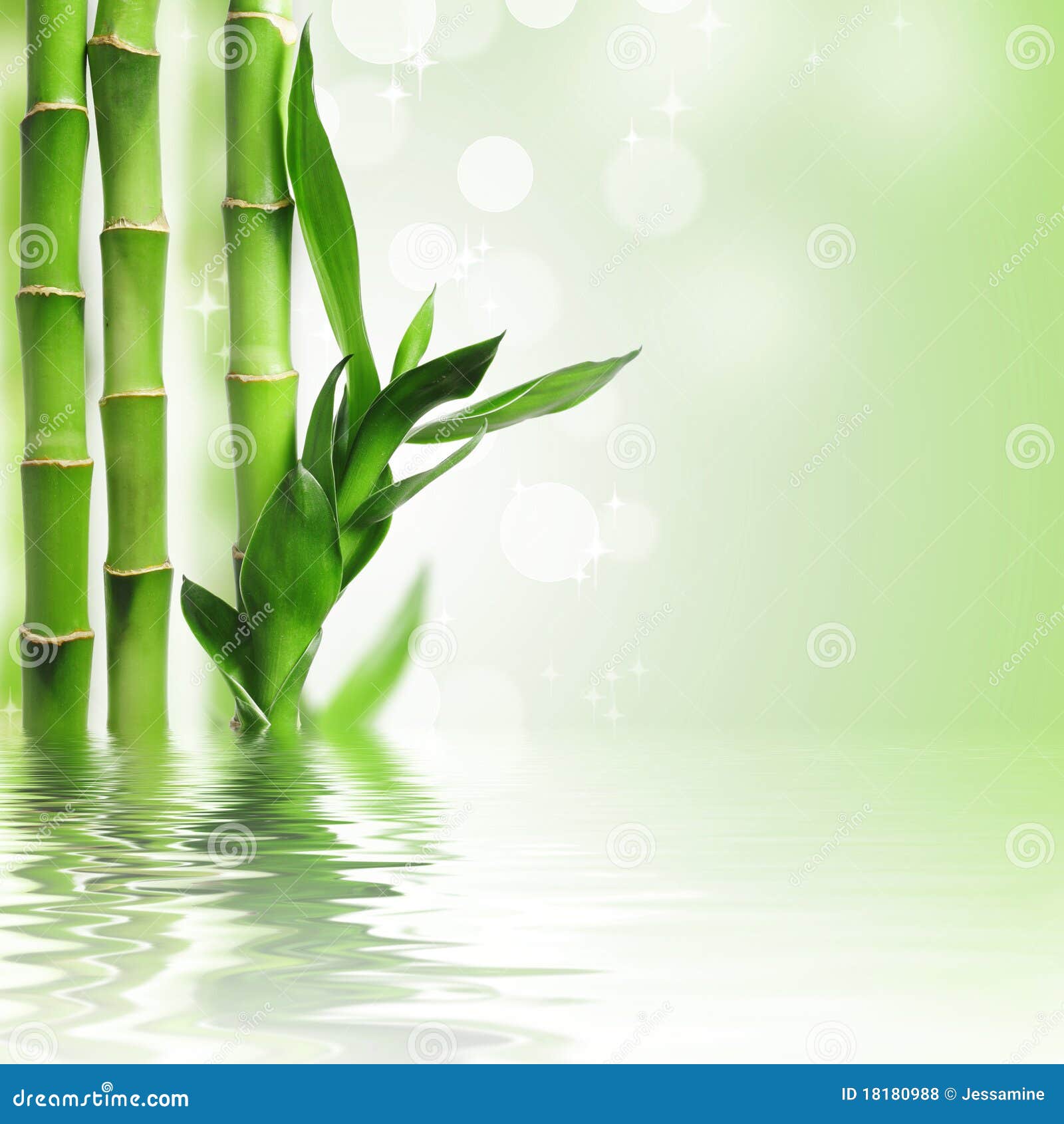 Fondo de bambú verde foto de archivo. Imagen de balneario - 18180988