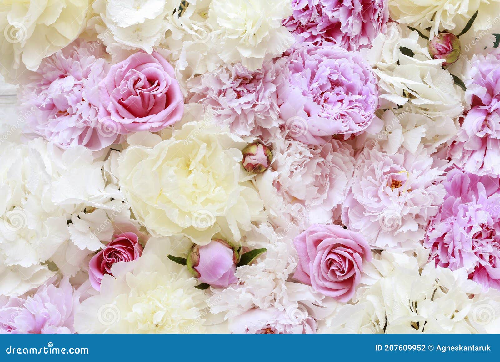 Fondo De Flores Con Peonías Rosas Y Hortensias Foto de archivo - Imagen de  ramo, florista: 207609952