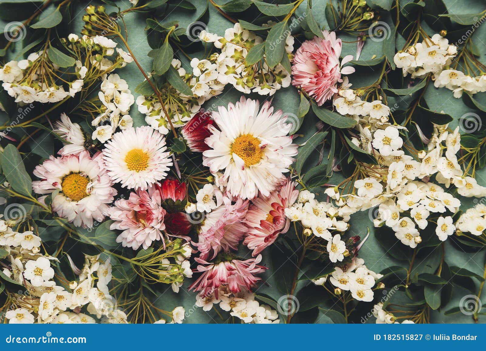 Fondo De Flores Naturales Hermosas Imagen de archivo - Imagen de amor,  rojo: 182515827