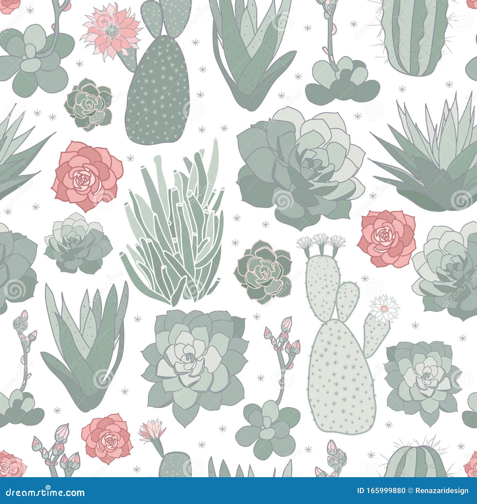 Fondo De Impresión De Diseño Transparente De Cactus Verde Rosa Blanco  Vectorial Stock de ilustración - Ilustración de lindo, verano: 165999880