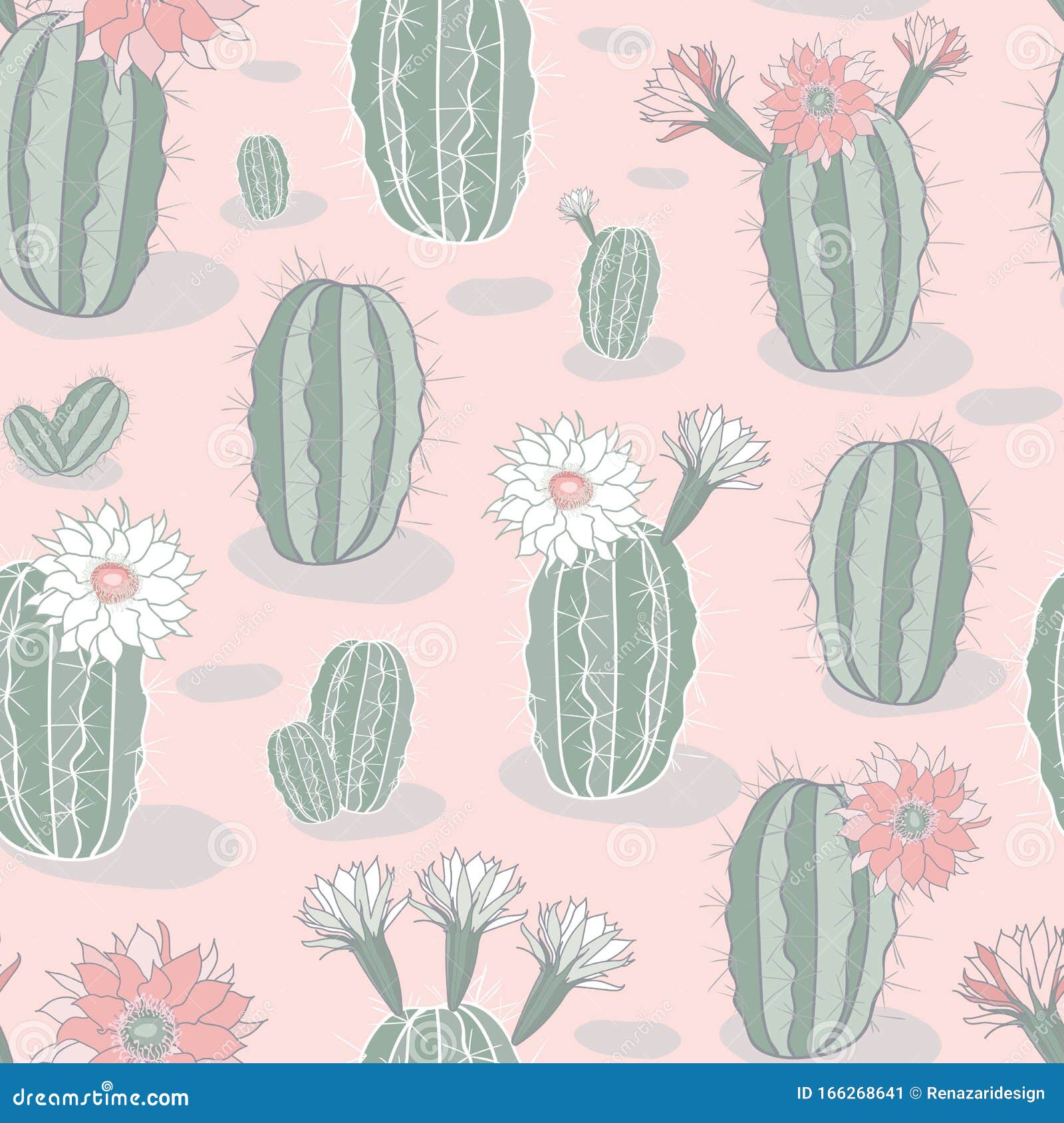 Fondo De Impresión De Diseño Transparente De Cactus Verde Rosa Vectorial  Ilustración del Vector - Ilustración de papel, floral: 166268641