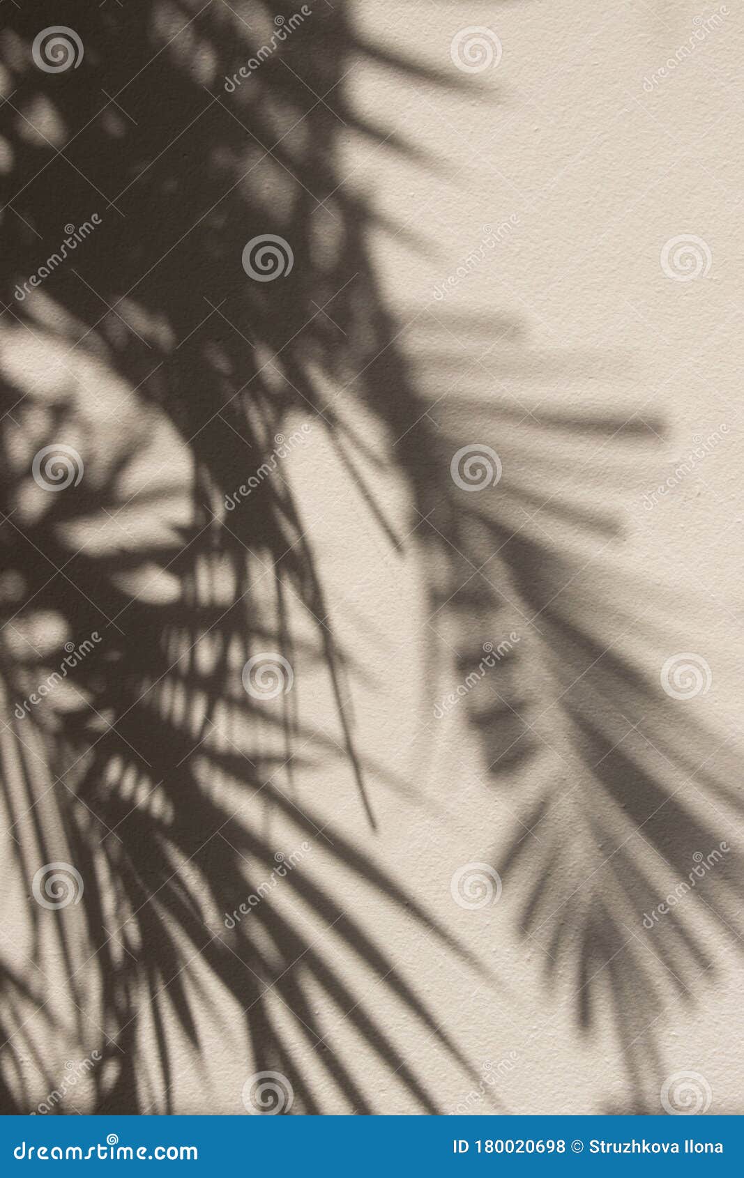 Sombras sombra de personas fondo de pantalla del teléfono  Pxfuel