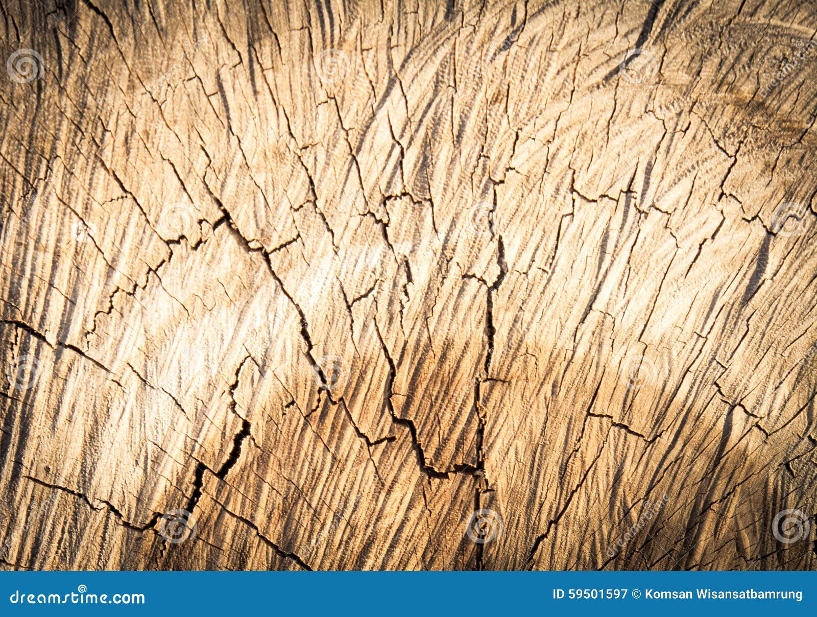 Fondo de madera de la textura/textura de madera. Textura de madera del fondo de madera de la textura