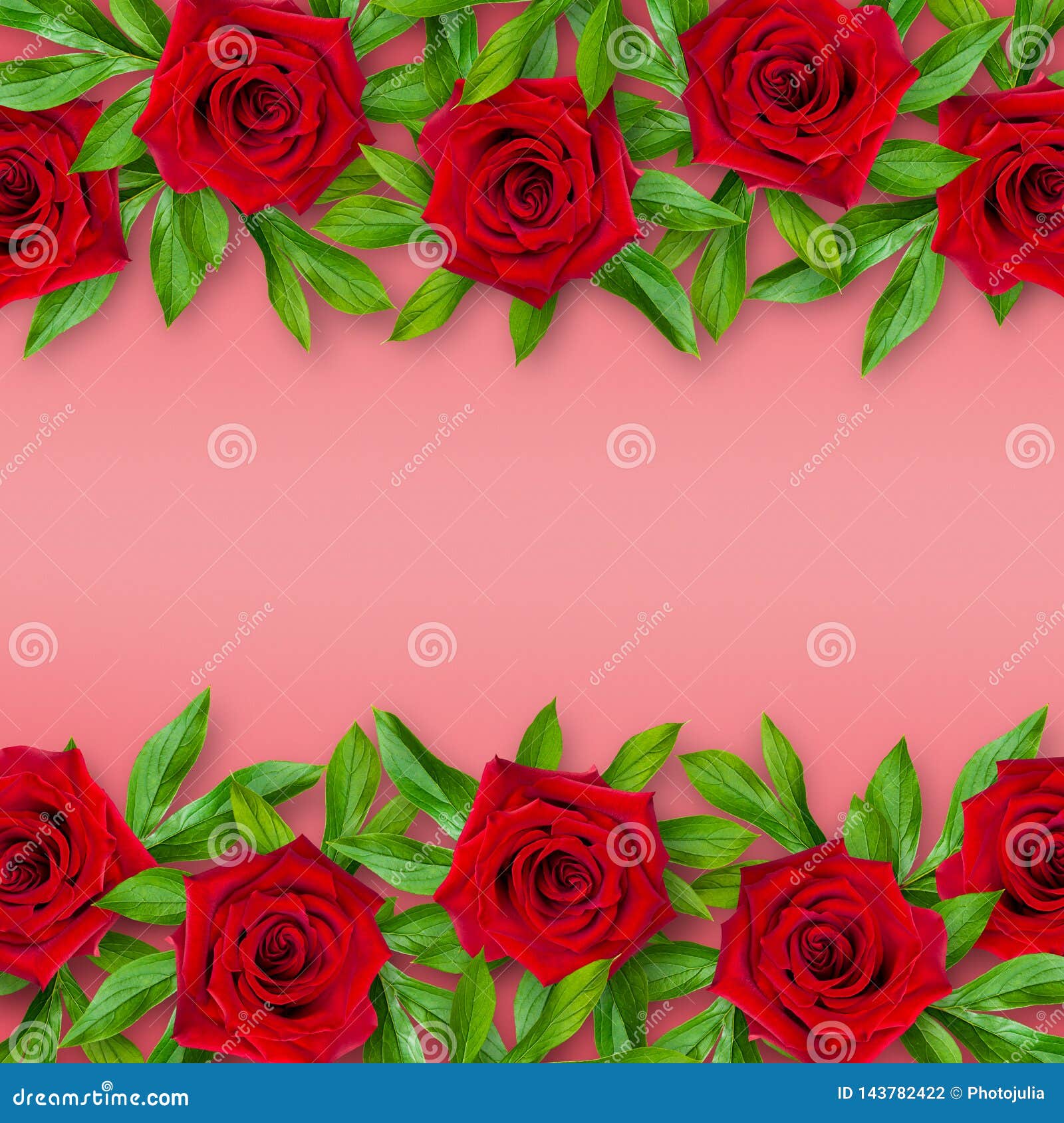 Fondo De Rosas Rojas Y De Hojas Verdes En Un Fondo Coralino Arreglo  Horizontal De Flores Estilo De La Vendimia Maqueta Foto de archivo - Imagen  de belleza, arreglo: 143782422