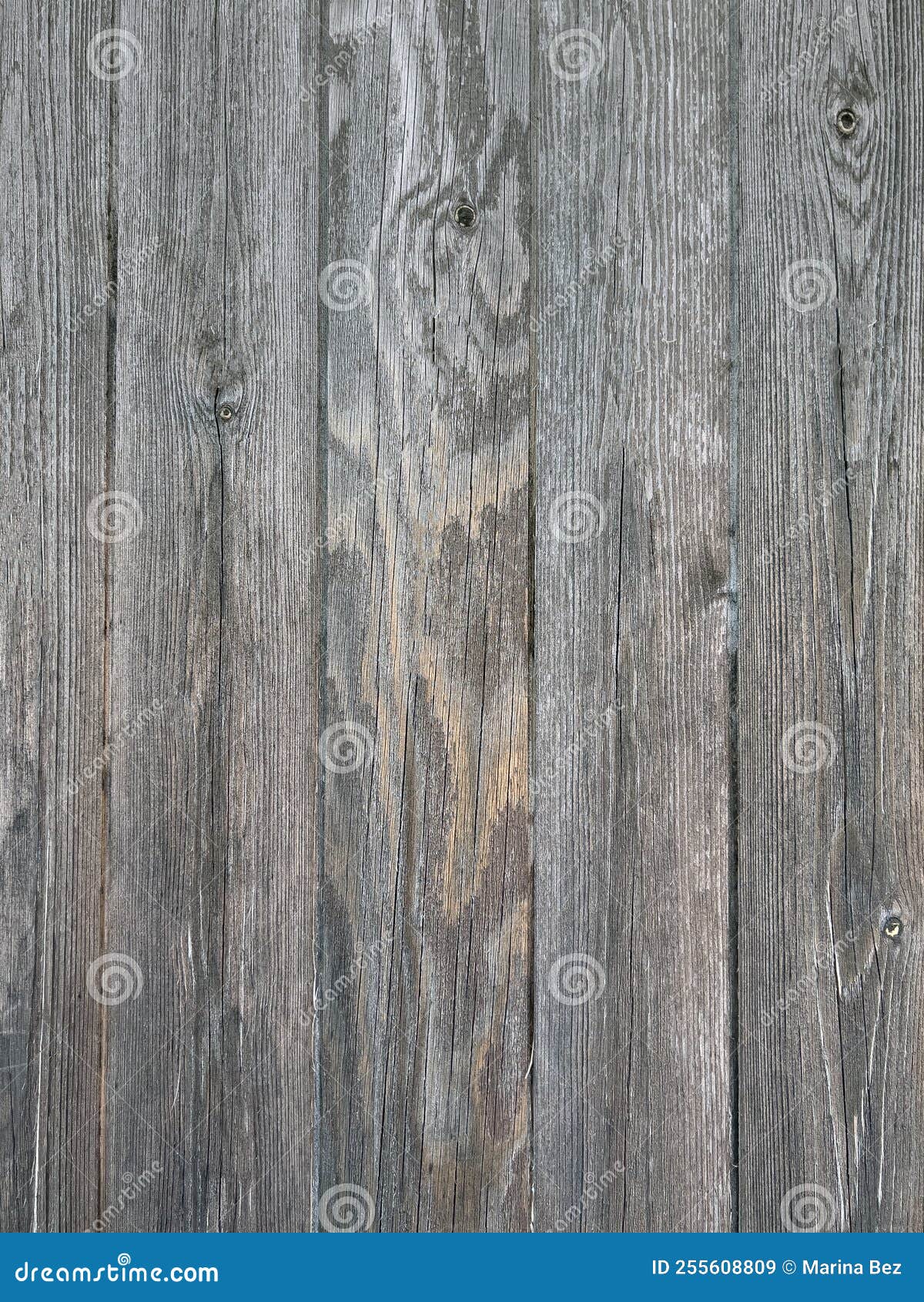 Fondo De Textura De Madera. Tablas De Madera Gris Vertical Imagen de