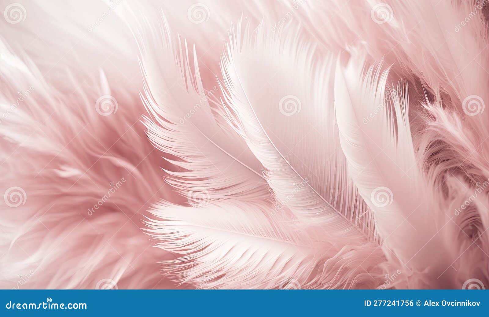 Fondo De Textura De Plumas De Color Rosa Suave Para Diseños Oníricos. Stock  de ilustración - Ilustración de profesional, plumas: 277241756