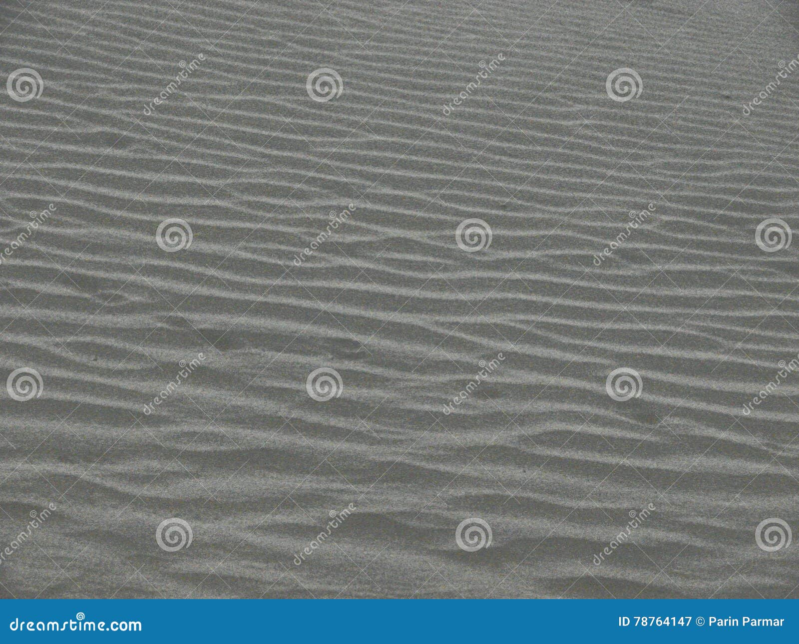 Fondo del desierto. Esta fotografía se captura en las dunas de arena, Jaisalmer, Rajasthán Los modelos interesantes se generan naturalmente en arena La fotografía es también útil como fondo en sitios web