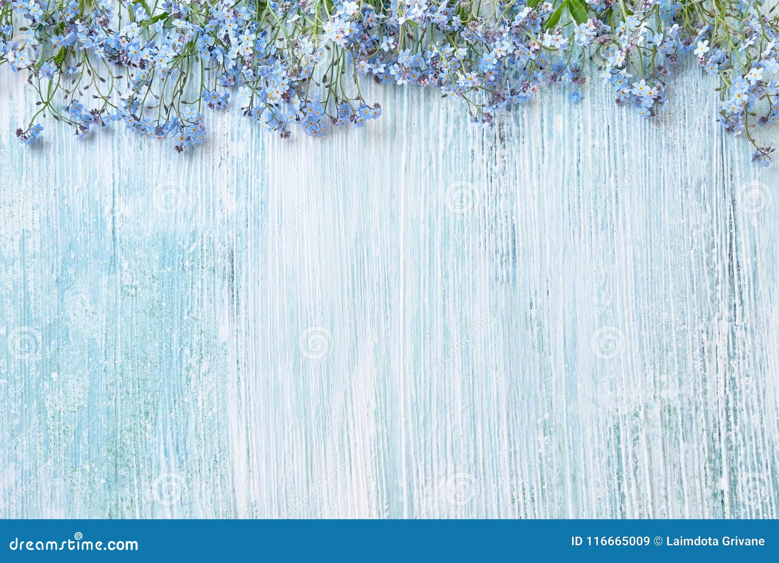 Fondo Del Resorte Flores Azules De Las Nomeolvides En Backgro En Colores  Pastel Imagen de archivo - Imagen de espacio, vacaciones: 116665009