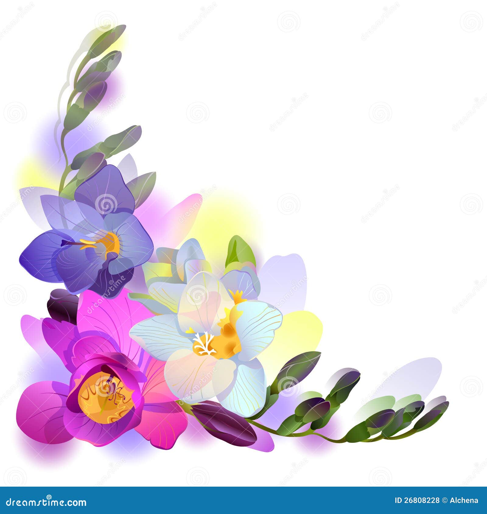 Fondo Del Saludo Del Vector Con Las Flores Del Freesia Ilustración del Vector - Ilustración de tarjeta, azul: 26808228 Fondo Del Saludo Del Vector Con Las Flores Del Freesia Ilustración del Vector - Ilustración de tarjeta, azul: 26808228