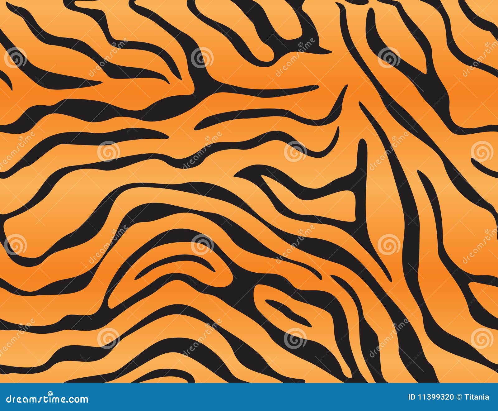 Fondo de tigre ilustración del vector. Ilustración de negro - 11399320, image size:1600x1319