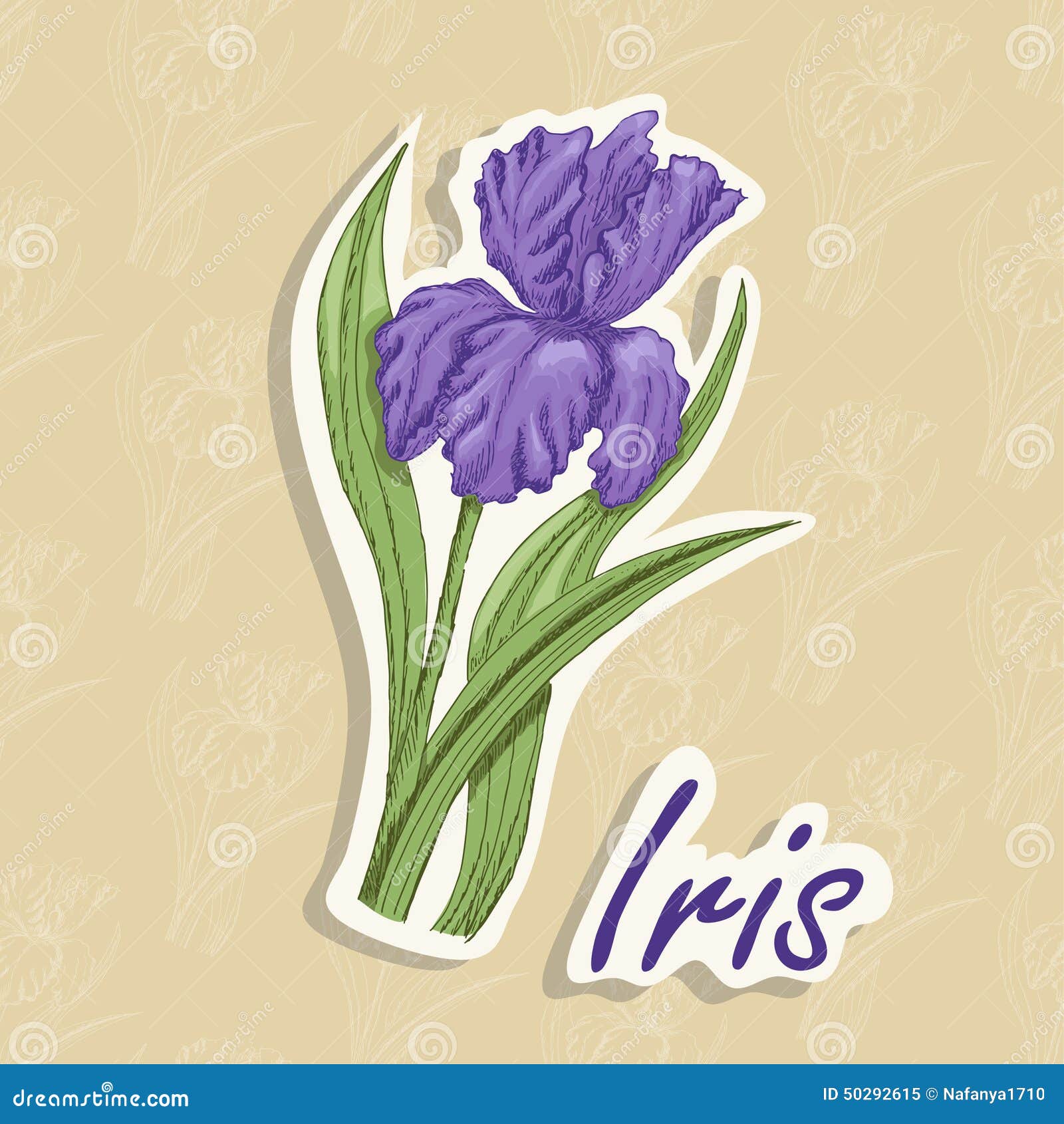 Fondo Del Vector Con Una Flor Ejemplo Del Dibujo De La Mano De Un Iris Stock de ilustración - Ilustración de regalo, pegatina: 50292615 Fondo Del Vector Con Una Flor Ejemplo Del Dibujo De La Mano De Un Iris Stock de ilustración - Ilustración de regalo, pegatina: 50292615
