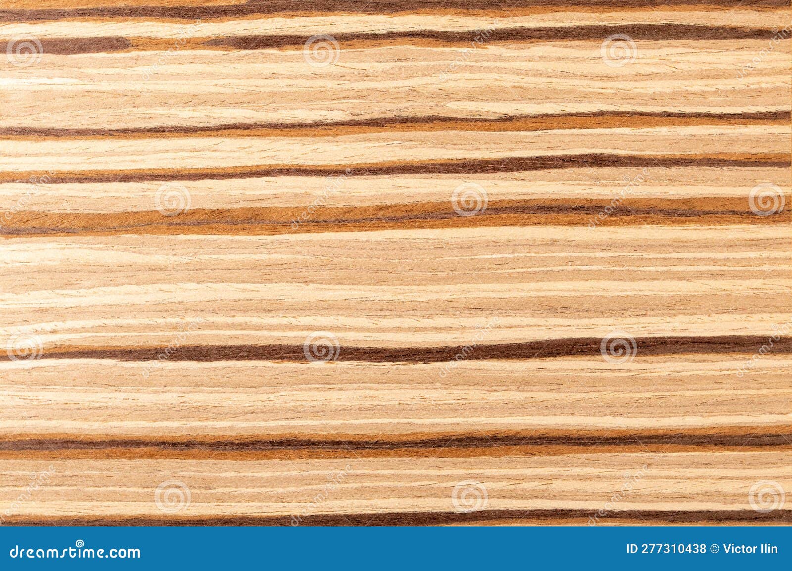 Texture leggera di impiallacciatura di legno