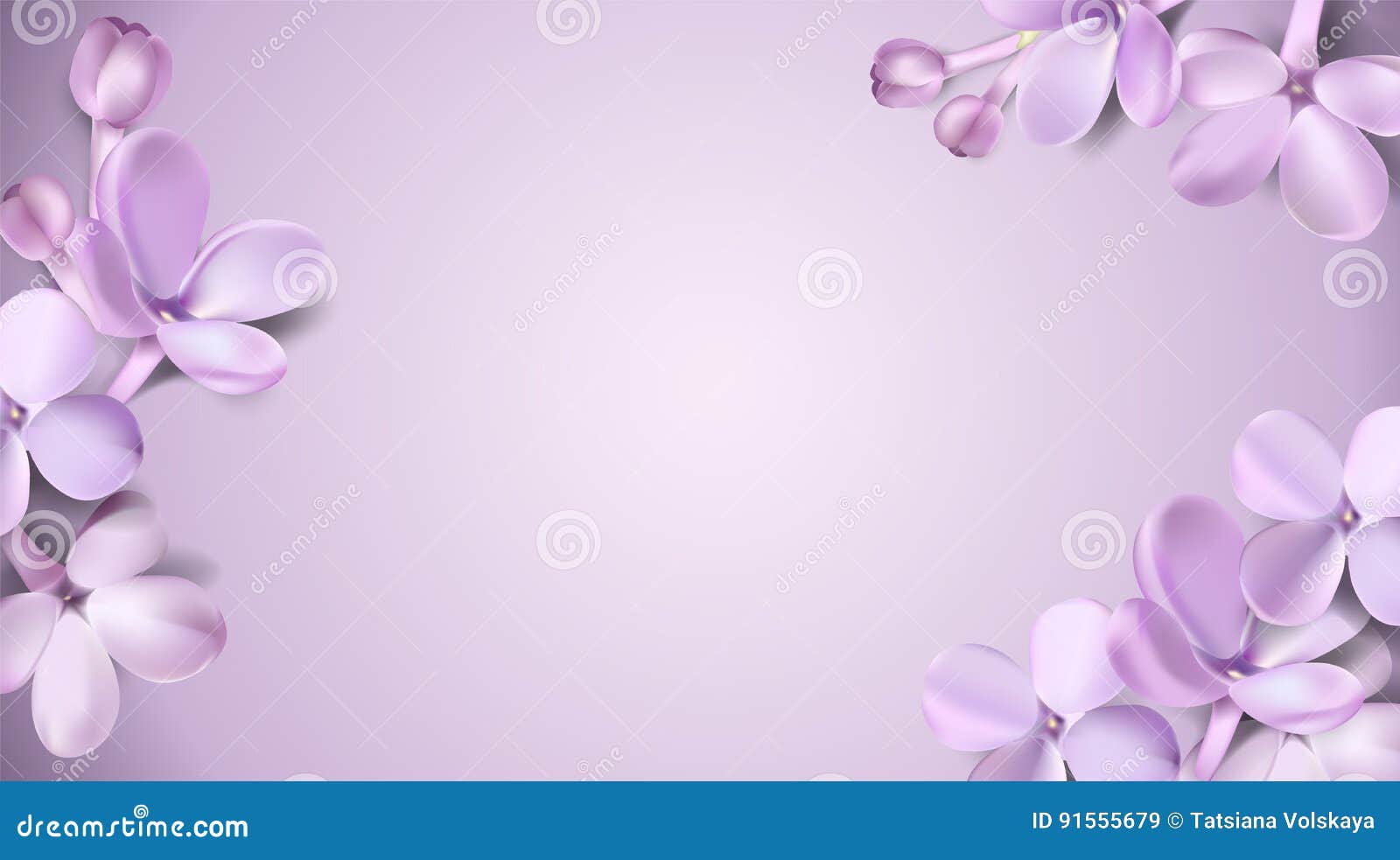 Fondo En Colores Pastel Con Las Flores De La Lila Ilustración del Vector -  Ilustración de pétalos, suave: 91555679